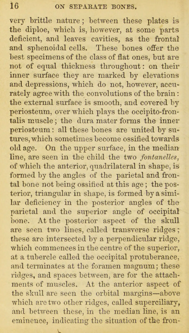 very brittle nature; between these plates is the diploe, which is, however, at some parts deficient, and leaves cavities, as the frontal and sphenoidal cells. These bones offer the best specimens of the class of flat ones, but are not of equal thickness throughout: on their inner surface they are marked by elevations and depressions, which do not, however, accu- rately agree with the convolutions of the brain: the external surface is smooth, and covered by periosteum, over Avhich plays the occipito-fron- talis muscle; the dura mater forms the inner periosteum: all these bones are united by su- tures, which sometimes become ossified towards old age. On the upper surface, in the median line, are seen in the child the two fontanelles, of which the anterior, quadrilateral in shape, is formed by the angles of the parietal and fron- tal bone not being ossified at this age; the pos- terior, triangular in shape, is formed by a simi- lar deficiency in the posterior angles of the parietal and the superior angle of occipital bone. At the posterior aspect of the skull are seen two lines, called transverse ridges; these are intersected by a perpendicular ridge, which commences in the centre of the superior, at a tubercle called the occipital protuberance, and terminates at the foramen magnum; these ridges, and spaces between, are for the attach- ments of muscles. At the anterior aspect of the skull are seen the orbital margins—above which are two other ridges, called superciliary, .and between these, in the median line, is an eminence, indicating the situation of the fron-