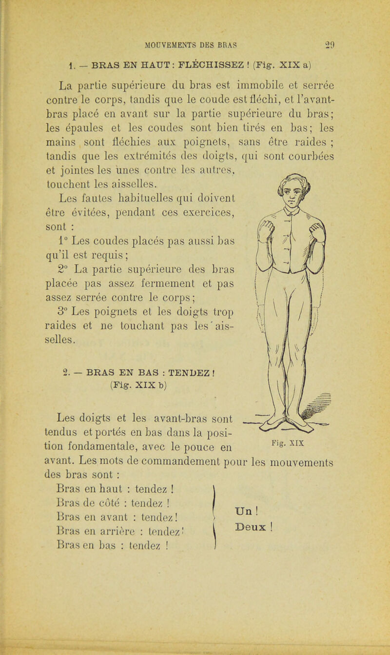 1. — BRAS EN HAUT: FLÉCHISSEZ ! (Fig-. XIX a) La partie supérieure du bras est immobile et serrée contre le corps, tandis que le coude est fléchi, et l’avant- bras placé en avant sur la partie supérieure du bras; les épaules et les coudes sont bien tirés en bas; les mains sont lléchies aux poignets, sans être raides ; tandis que les extrémités des doigts, qui sont courbées et jointes les unes contre les autres, touchent les aisselles. Les fautes habituelles qui doivent être évitées, pendant ces exercices, sont : 1° Les coudes placés pas aussi bas qu’il est requis ; 2° La partie supérieure des bras placée pas assez fermement et pas assez serrée contre le corps; 3° Les poignets et les doigts trop raides et ne touchant pas les ' ais- selles. 2. — BRAS EN BAS : TENDEZ ! (Fig. XIX b) Les doigts et les avant-bras sont tendus et portés en bas dans la posi- tion fondamentale, avec le pouce en avant. Les mots de commandement pour les mouvements des bras sont : Bras en haut : tendez ! \ Bras de côté : tendez ! / Bras en avant : tendez! > ‘ Bras en arrière : tendez1 \ ^eux ! Bras en bas : tendez ! 1