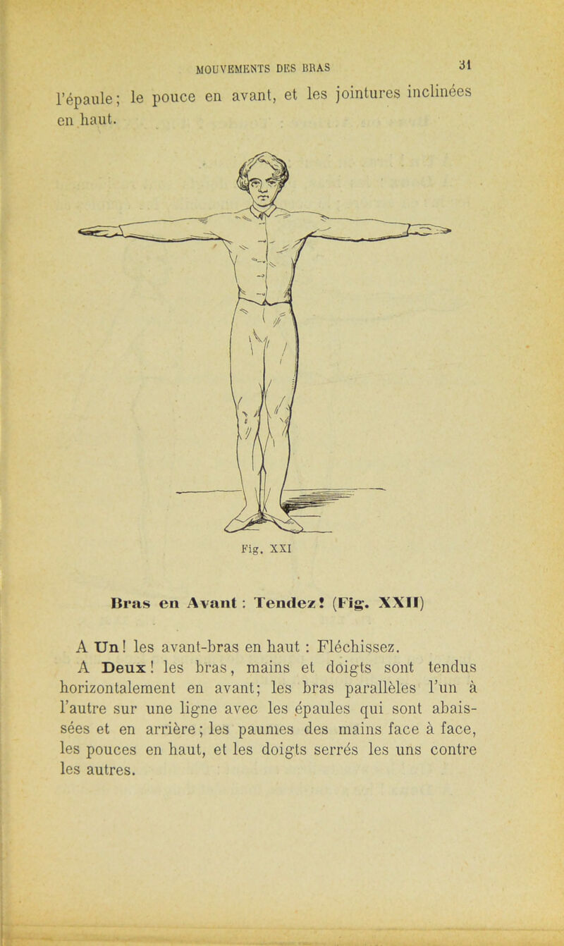 l’épaule; le pouce en avant, et les jointures inclinées en haut. Fig. XXI Bras en Avant : Tendez! (Fig. XXII) A Un! les avant-bras en haut : Fléchissez. A Deux ! les bras, mains et doigts sont tendus horizontalement en avant; les bras parallèles l’iin à l’autre sur une ligne avec les épaules qui sont abais- sées et en arrière ; les paumes des mains face à face, les pouces en haut, et les doigts serrés les uns contre les autres.