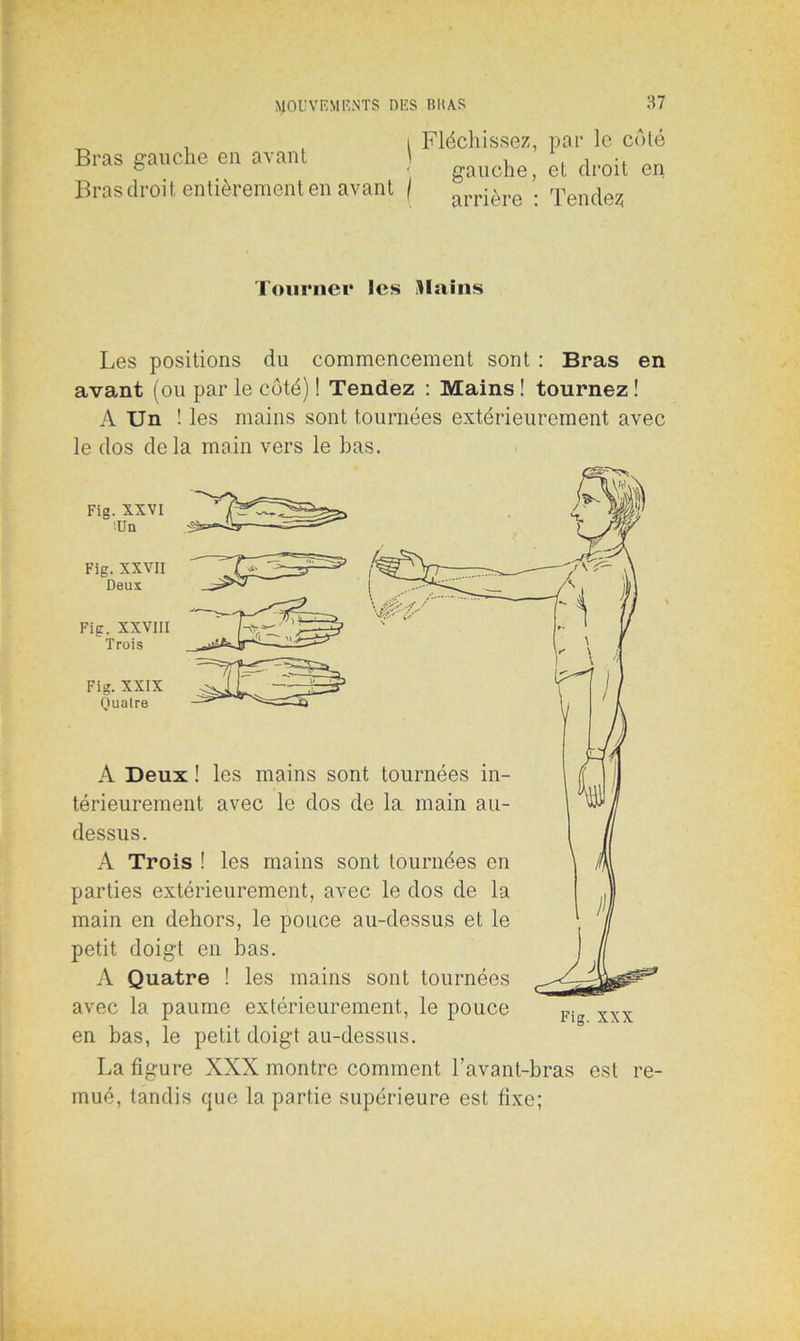 Bras gauche en avant Bras droit entièrement en avant | Fléchissez, par le côté gauche, et droit en arrière : Tendez Tourner les Mains Les positions du commencement sont : Bras en avant (ou par le côté) ! Tendez : Mains ! tournez ! A Un ! les mains sont tournées extérieurement avec le dos delà main vers le bas. Fig. XXVI •Un Fig. XXVII Deux Fig. XXVIII Trois Fig. XXIX Quatre A Deux ! les mains sont tournées in- térieurement avec le dos de la main au- dessus. A Trois ! les mains sont tournées en parties extérieurement, avec le dos de la main en dehors, le pouce au-dessus et le petit doigt en bas. A Quatre ! les mains sont tournées avec la paume extérieurement, le pouce en bas, le petit doigt au-dessus. La figure XXX montre comment l’avant-bras est re- mué, tandis que la partie supérieure est fixe;
