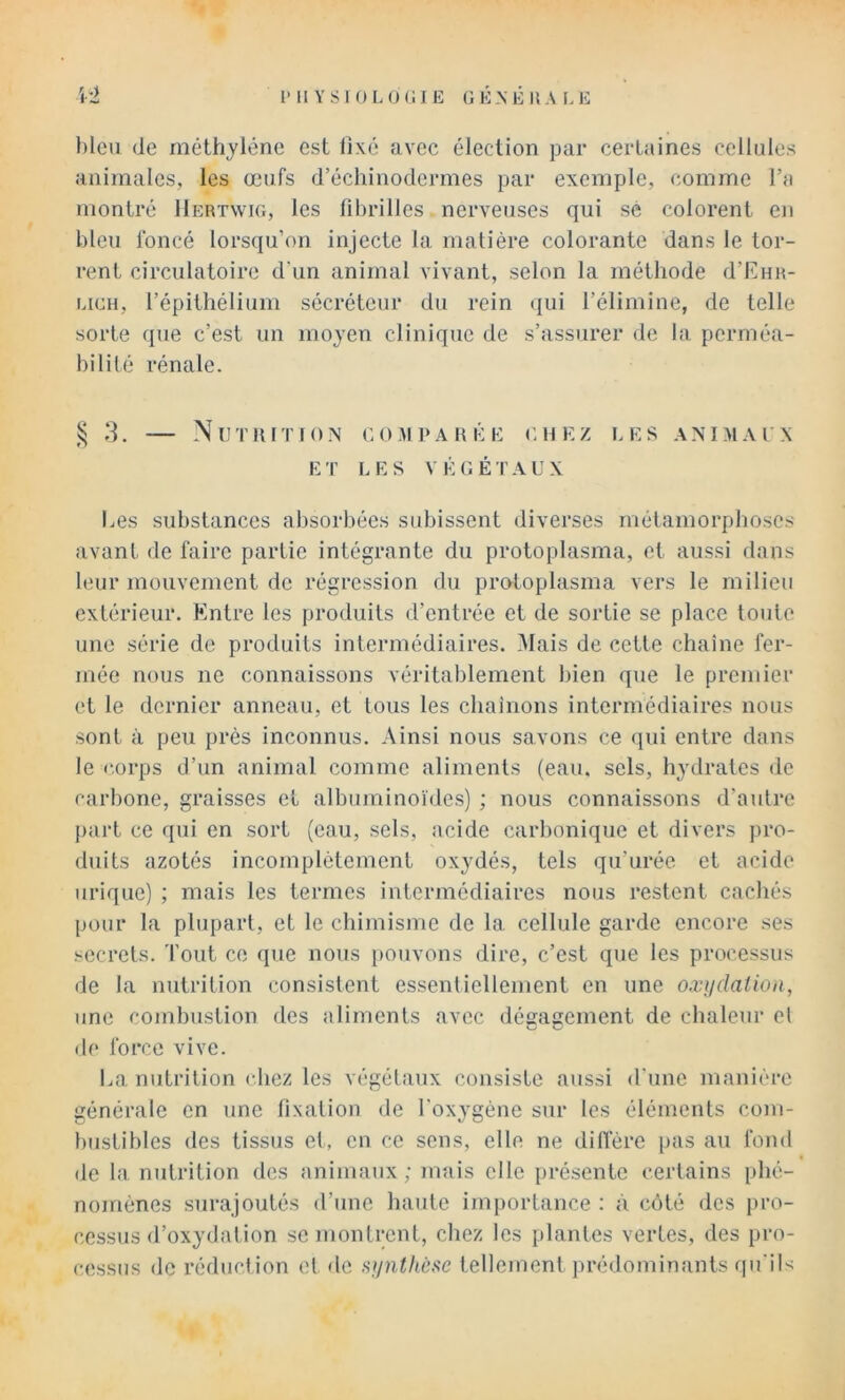 bleu de méthylène est fixé avec élection par certaines cellules animales, les œufs d’échiuodermes par exemple, comme l’a montré Hertvvio, les librilles nerveuses qui sé colorent en bleu foncé lorsqu’on injecte la matière colorante dans le tor- rent circulatoire d'un animal vivant, selon la méthode d’Eua- UCH, l’épithélium sécréteur du rein (jui l’élimine, de telle sorte que c’est un moyen clinique de s’assurer de la perméa- bilité rénale. NuTIUTIO.N EO.M PAREE CHEZ LES AN IM AIX ET LES VÉGÉTAUX Les substances absorbées subissent diverses métamorphoses avant de faire partie intégrante du protoplasma, et aussi dans leur mouvement de régression du pratoplasma vers le milieu extérieur. Entre les produits d’entrée et de sortie se place toute une série de produits intermédiaires. Mais de cette chaîne fer- mée nous ne connaissons véritablement bien que le premier et le dernier anneau, et tous les cliaînons intermédiaires nous sont à peu près inconnus. Ainsi nous savons ce qui entre dans le <‘,orps d’un animal comme aliments (eau. sels, hydrates de carbone, graisses et albuminoïdes) ; nous connaissons d’autre j)art ce qui en sort (eau, sels, acide carbonique et divers pro- duits azotés incomplètement oxydés, tels qu’urée et acide urique) ; mais les termes intermédiaires nous restent cachés pour la plupart, et le chimisme de la cellule garde encore ses secrets. Tout ce que nous [)Ouvons dire, c’est que les processus de la nutrition consistent essentiellement en une o.vydalion, une combustion des aliments avec dégagement de chaleur et de force vive. La nutrition chez les végétaux consiste aussi d'une manière générale en une fixation de l'oxygène sur les éléments com- bustibles des tissus et, en ce sens, elle ne diffère pas au fond de la nutrition des animaux; mais elle présente certains phé- nomènes surajoutés d’une haute importance : à côté des pro- cessus d’oxydation se montrent, chez les plantes vertes, des pro- cessus de réduction et de .syaï/iéxc tellement prédominants qu'ils