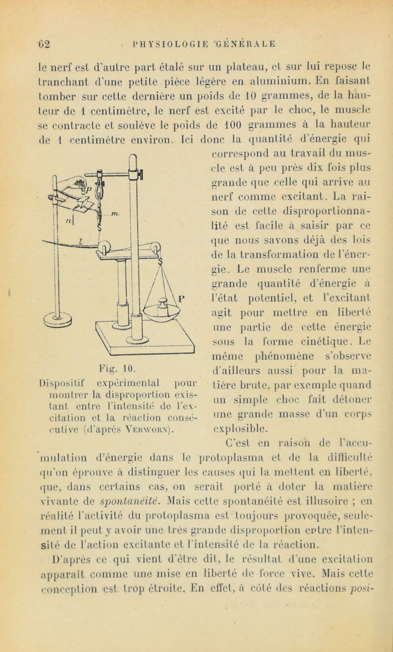 le nerf est d’autre part étalé sur un plateau, el sur lui repose le tranchant d'une petite pièce légère en aluminium. Kn laisant tomber sur cette dernière un poids de 10 grammes, de la hau- teur de 1 centimètre, le nerf est excité par le choc, le muschi se contracte et soulève le poids de 100 grammes à la hauteur de 1 centimètre environ. Ici donc la (luantitè d’énergie qui correspond au travail du mus- cle est à peu prés dix fois plus grande que celle qui arrive au nerf comme excitant. La rai- son de cette disproportionna- lité est facile à saisir par ce que nous savons déjà des lois de la transformation de l’éner- gie. Le muscle renferme une grande (Quantité d’énergie à l’état potentiel, et l’excitant agit pour metti’c en liberté une partie de cette énergie sous la forme cinétique. Le même phénomène s’observe d'ailleurs aussi pour la ma- tière brute, j)ar exemple quand un simple choc fait détonei’ une grande messe d’un corps exjjlosihle. C’est en raison de l’accu- mulntion d’énergie dans le pi-otoplasma et de la dilliculté ([u’on éprouve à distinguer les causes (pii la mettent en liberté, (pie, dans certains cas, on serait porté à doter la matière vivante de sponLancitc. -Mais cette spontanéité est illusoire ; en réalité l’activité du protoplasma est toujours provoquée, seule- ment il peut J avoir une très grande dispiaqiortion entre l’inten- sité de l’action excitante et l’intensité de la réaction. D’ajirés ce (jui vient d’être dit, le résultat d'une excitation apparaît comme une mise en liberté de lorce vive. Mais cette conccqilion est trop étroite. En elîet, à ('ôté des réactions poM- Fig. 10. DisimsiLif expcrimeid.al ])oui' montrer la disproixirtion oxis- lanl entre rinleiisité do l’ox- cilation et la l'éaction consé- cutive (d’après Veiovoux).