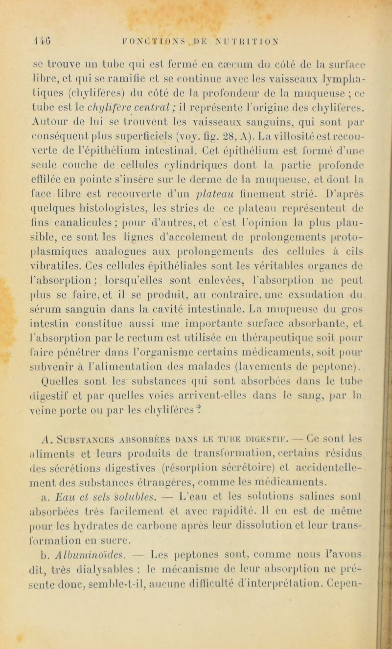 se IrouYC un liihc qui esl leriné en caîcuui du côté de la surl'ace lihee, et ijui se lauuilie et se coidiuue avec les vaisseaux lyinpha- iiques (cliylileres) du côté de la [iroroiidcur de la muqueuse ; ci; tuhe esl le chnlifcrc central ; il j‘e|)césente l’origine des cliylileres. Auloiir de lui se Irouveut les vaisseaux sanguins, qui smd par conséquent plus superliciels (voy. fig. 28, A). Lavillosiiéestrccou- verte de répilliélium intestinal. Cet épilhéliiun est l'ormé d’une seule couche de cellules cylindriques donl la iiarlie protondc ellilée en pointe s’insère sur le derme de la muqueuse, et dont la lace libre est recouverte d’uu plateau liuemeiit strié. I)’a[irès ([uelques bistolog-istes, les stries de ce plateau repi'ésentenl d(‘ lius canalicules ; [loiir d’autres, et c'est rojiinion la plus plau- sible, ce sont les lignes d’accolemcnt de prolongements proto- plasmiques analogues aux prolongements des cellules à cils vibratiles. Ces cellules épithéliales sont les véritables oi-ganes de l’absorption ; lorsqu'elles sont enlevées, l'absoi-jilion ne peut plus se faire, et il se produit, au contraire, une exsudation du sérum sanguin dans la cavité intestinale, l^a muqueuse du gros intestin constitue aussi une importante surface absorbante, et l’absor|)tion par le rectum esl utilisée eu thérapeutique soit pour faire pénétrer dans l’organisme certains médicaments, soit poin* subvenir à l’alimentation des malades {lavements de peptone). Oiielles sont les substances qui sont absorbées dans le tnbe- digestif et par quelles voies arrivent-elles dans le sang, par la veine porte ou {lar les cbyliléres? A. SunSTAXCES AUSOIUJKES DAXS LE ITCE DIGESTIE. — Cc SOUt IcS aliments et leurs produits de transformation, certains résidus des sécrétions digestives (résorption sécrétoire) et accidentelle- ment des substances étrangères, comme les médicaments. a. Eau et seli) solubles. — L'eau et les solutions salines sont absorbées ti’ès facilemeul et avec rajiidité. 11 en est de même pour les hydrates de carhone a|)rés leur dissolution et leur trans- formation en suci-e. b. Albuminoules. — Les [leptones sont, comme nous Lavons dit, très dialysables ; le mécanisme de leur absorption ne iiré- senle donc, semble-t-il, aucune dillicullé d'inter|)rétation. Cepen-