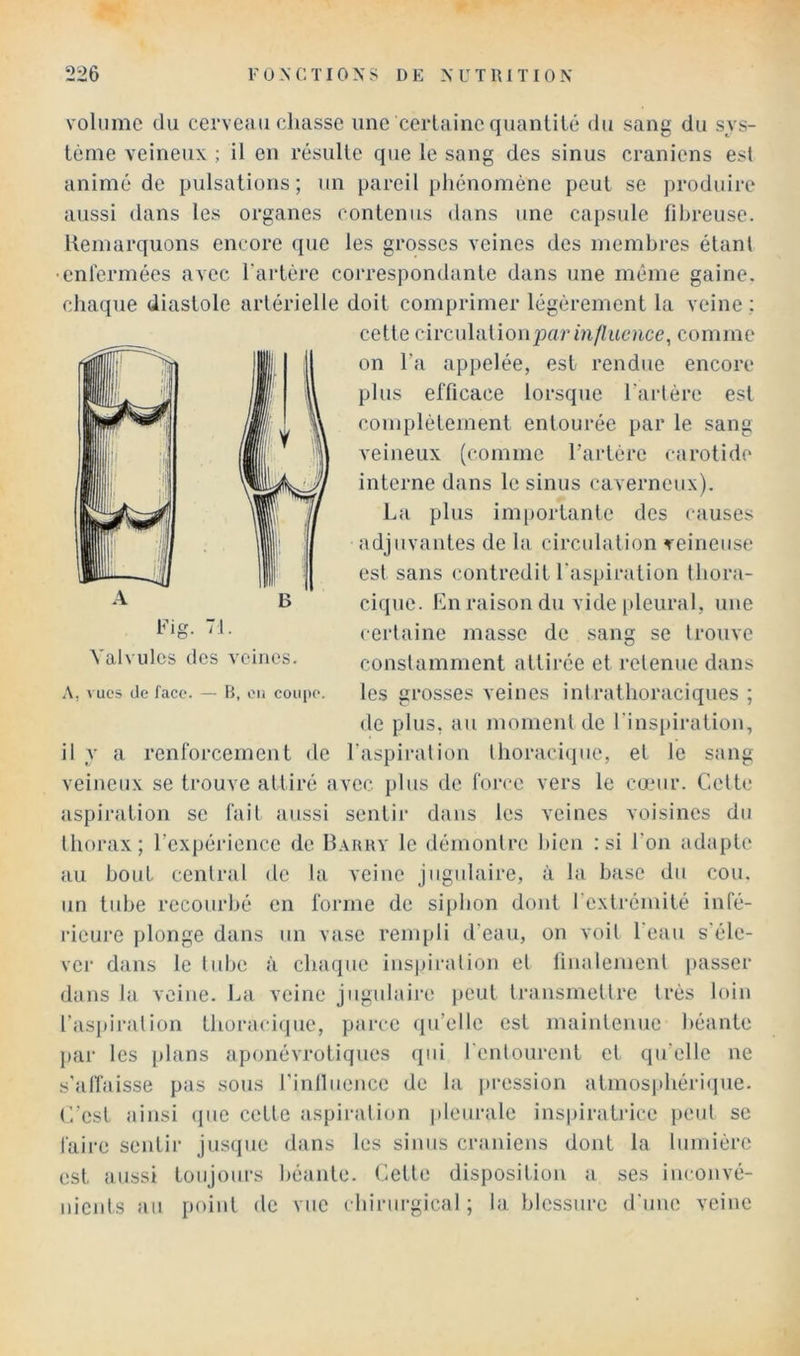 volume du cerveau chasse une certaine quanülé du sang du sys- tème veineux ; il en résulte que le sang des sinus crâniens est animé de pulsations; un pareil phénomène peut se produire aussi dans les organes contenus dans une capsule til)reuse. Kemarquons encore que les grosses veines des membres étant •enlermées avec Tartère correspondante dans une même gaine, chaque diastole artérielle doit comprimer légèrement la veine ; cette ch'cnhiVioiipar influence, comme on l’a appelée, est rendue encore plus efficace lorsque l’artère est complètement entourée par le sang veineux (comme l’artère carotide interne dans le sinus caverneux). La plus im[)ortante des causes adjuvantes de la circulation veineuse est sans contredit l'aspiration thora- cique. En raison du vide [)leural, une certaine masse de sang se trouve constamment attirée et retenue dans les grosses veines intrathoraciques ; de plus, au moment de l'insi)iration, ’aspiration thoracique, et le sang veineux se trouve attiré avec plus de force vers le cœur. Cette aspiration se fait aussi sentir dans les veines voisines du thorax; l’expérience de Iîauhy le démontre bien : si l’on adapte au bout central <le la veine jugulaire, à la base du cou. un tid>e recourbé en forme de siphon dont l’extrémité infé- rieure plonge dans un vase rempli d’eau, on voit l'eau s'éle- ver dans le tube à chaque inspiration et linalement |)asser dans la veine. La veine jugulaire peut transmettre très loin l’aspiration thoraci(jue, parce qu’elle est maintenue béante par les |)hins aponévrotiques qui rentourent et qu'elle ne s’affaisse pas sous rinduence de la ])ression atmosidiéricpie. C'est ainsi cpie cette aspiration jdeurale inspiratrice peut se faire sentir jusque dans les sinus crâniens dont la lumière est aussi toujours béante. Cette disposition a ses inconvé- nients au point de vue chirurgical; la blessure d'une veine Fig. 71. Valvules (les veines. A, vues de face. — H, eu coupe. il y a renforcement de 1