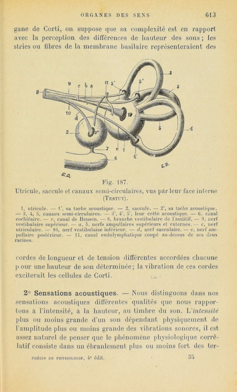 gane de Corti, on suppose que sa complexité est en rapport avec la perception des différences de hauteur des sons ; les stries ou libres de la membrane basilaire représenteraient des Fig. 1S7. Utricule, saccule et canaux senii-circulaircs, vus par leur face interne (Testüt). 1, ulriculc. — r, sa laclic acoustiijuc. — 2, sacculc. — 2’, sa laclie acoiisli()uc. — 3, i, :i, canaux scnii-circu)aircs. — 3’, 4’, 5', leur crôle acoustique. — 6, canal cucliléairc. — r, canal de Hcnseii. — 8, Iji-auclie veslibulaire de l'audilif. — 9, iicrt vcslibulaire sui)6ricur. — a, h, nerfs aniiuillaires supérieurs et externes. — c, nerf utriculaire. — 10, nerf vcstibulairc inférieur. — (/, nerf saccnlaire. — e, nerf ain- pullaire postérieur. — 11, canal cndolj nipliatique coupé au-dessus de ses deux racines. cordes de longueur et de tension différentes accordées cbacimc P our une hauteur de son déterminée; la vibration de ces cordes exciterait les cellules de Corti. ■ 2° Sensations acoustiques. — Nous distinguons dans nos sensations acoustiques dilférenles qualités que nous rappor- tons à l’intensité, à la hauteur, au timlire du son. L’intensité plus ou moins grande d’un son dépendant physiquement de l’amplitude plus ou moins grande des vibrations sonores, il est. assez naturel de penser que le pliénomène physiologique corré- latif consiste dans un ébranlement plus ou moins fort des ter- l'RÉClS DF. PHYSIOI.OGIE, 4' édit. 3a