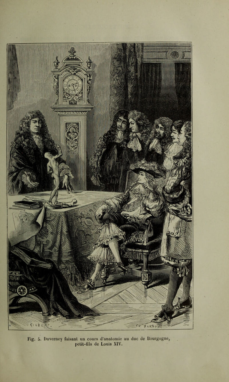 Fig. 5. Duverney faisant un cours d’anatomie au duc de Bourgogne,