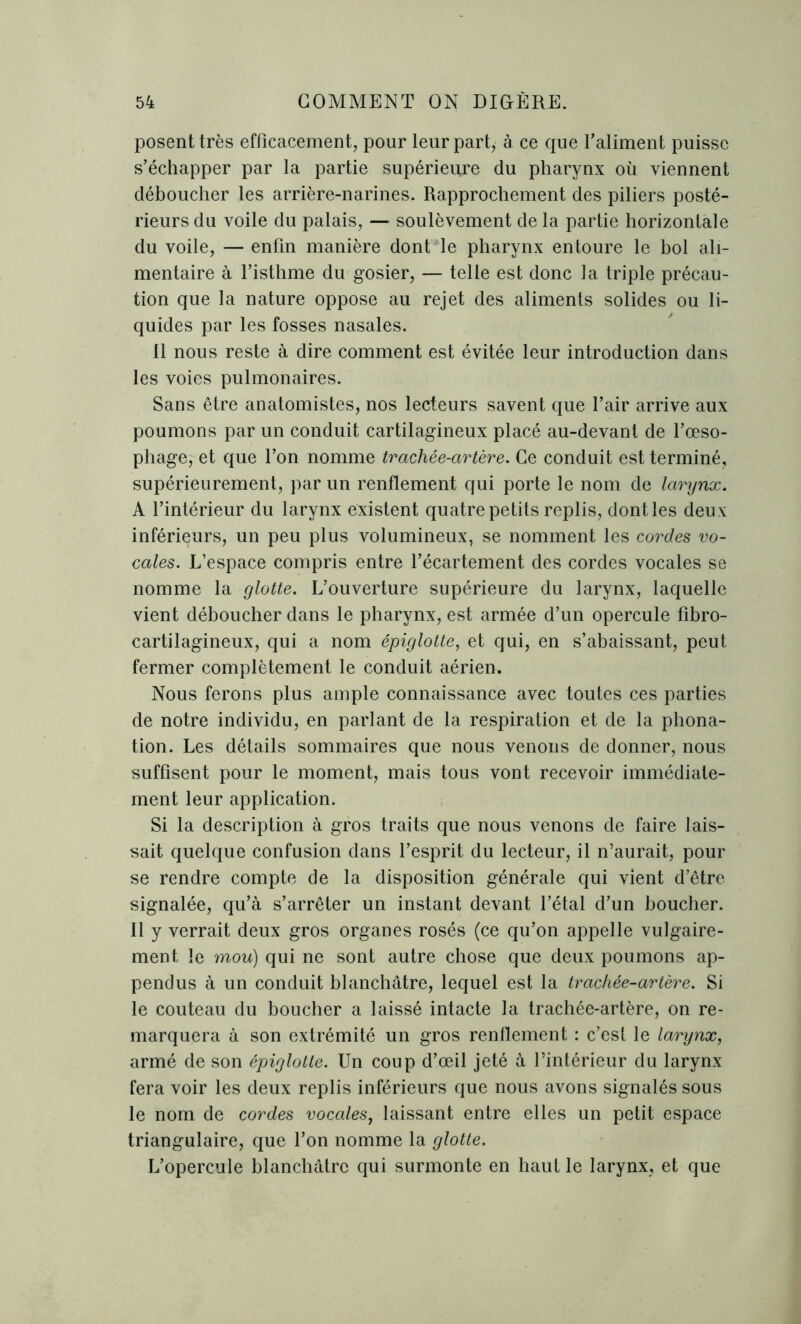 posent très efficacement, pour leur part, à ce que l’aliment puisse s’échapper par la partie supérieure du pharynx où viennent déboucher les arrière-narines. Rapprochement des piliers posté- rieurs du voile du palais, — soulèvement de la partie horizontale du voile, — enfin manière dont le pharynx entoure le bol ali- mentaire à l’isthme du gosier, — telle est donc la triple précau- tion que la nature oppose au rejet des aliments solides ou li- quides par les fosses nasales. 11 nous reste à dire comment est évitée leur introduction dans les voies pulmonaires. Sans être anatomistes, nos lecteurs savent que l’air arrive aux poumons par un conduit cartilagineux placé au-devant de l’œso- phage, et que l’on nomme trachée-artère. Ce conduit est terminé, supérieurement, par un renflement qui porte le nom de larynx. A l’intérieur du larynx existent quatre petits replis, dont les deux inférieurs, un peu plus volumineux, se nomment les cordes vo- cales. L’espace compris entre l’écartement des cordes vocales se nomme la glotte. L’ouverture supérieure du larynx, laquelle vient déboucher dans le pharynx, est armée d’un opercule fibro- cartilagineux, qui a nom épiglotte, et qui, en s’abaissant, peut fermer complètement le conduit aériem Nous ferons plus ample connaissance avec toutes ces parties de notre individu, en parlant de la respiration et de la phona- tion. Les détails sommaires que nous venons de donner, nous suffisent pour le moment, mais tous vont recevoir immédiate- ment leur application. Si la description à gros traits que nous venons de faire lais- sait quelque confusion dans l’esprit du lecteur, il n’aurait, pour se rendre compte de la disposition générale qui vient d’être signalée, qu’à s’arrêter un instant devant l’étal d’un boucher. 11 y verrait deux gros organes rosés (ce qu’on appelle vulgaire- ment le mou) qui ne sont autre chose que deux poumons ap- pendus à un conduit blanchâtre, lequel est la trachée-artère. Si le couteau du boucher a laissé intacte la trachée-artère, on re- marquera à son extrémité un gros renflement : c’est le larynx, armé de son épiglotte. Un coup d’œil jeté à l’intérieur du larynx fera voir les deux replis inférieurs que nous avons signalés sous le nom de cordes vocales, laissant entre elles un petit espace triangulaire, que l’on nomme la glotte. L’opercule blanchâtre qui surmonte en haut le larynx, et que