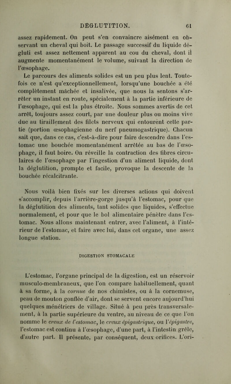 assez rapidement. On peut s’en convaincre aisément en ob- servant un cheval qui boit. Le passage successif du liquide dé- gluti est assez nettement apparent au cou du cheval, dont il augmente momentanément le volume, suivant la direction de l’oesophage. Le parcours des aliments solides est un peu plus lent. Toute- fois ce n’est qu’exceptionnellement, lorsqu’une bouchée a été complètement mâchée et insalivée, que nous la sentons s’ar- rêter un instant en route, spécialement à la partie inférieure de l’œsophage, qui est la plus étroite. Nous sommes avertis de cet arrêt, toujours assez court, par une douleur plus ou moins vive due au tiraillement des filets nerveux qui entourent cette par- tie (portion œsophagienne du nerf pneumogastrique). Chacun sait que, dans ce cas, c’est-à-dire pour faire descendre dans l’es- tomac une bouchée momentanément arrêtée au bas de l’œso- phage, il faut boire. On réveille la contraction des fibres circu- laires de l’œsophage par l’ingestion d’un aliment liquide, dont la déglutition, prompte et facile, provoque la descente de la bouchée récalcitrante. Nous voilà bien fixés sur les diverses actions qui doivent s’accomplir, depuis l’arrière-gorge jusqu’à l’estomac, pour que la déglutition des aliments, tant solides que liquides, s’effectue normalement, et pour que le bol alimentaire pénètre dans l’es- tomac. Nous allons maintenant entrer, avec l’aliment, à l’inté- rieur de l’estomac, et faire avec lui, dans cet organe, une assez longue station. DIGESTION STOMACALE L’estomac, l’organe principal de la digestion, est un réservoir musculo-membraneux, que l’on compare habituellement, quant à sa forme, à la cornue de nos chimistes, ou à la cornemuse, peau de mouton gonflée d’air, dont se servent encore aujourd’hui quelques ménétriers de village. Situé à peu près transversale- ment, à la partie supérieure du ventre, au niveau de ce que l’on nomme le creux de Vestomac, le creux épigastrique, ou Yépigastre, l’estomac est continu à l’œsophage, d’une part, à l’intestin grêle, d’autre part. Il présente, par conséquent, deux orifices. L’ori-