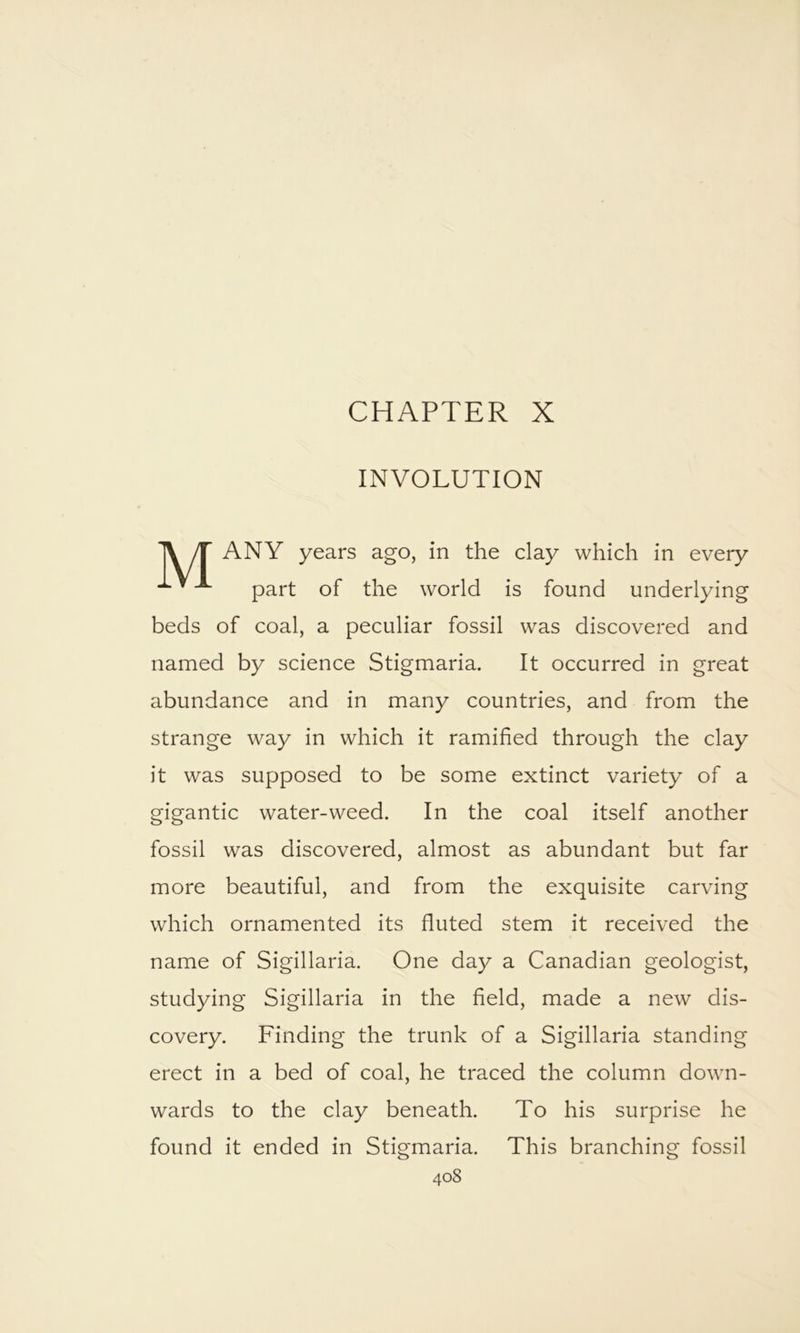 CHAPTER X INVOLUTION 1\ /r ANY years ago, in the clay which in every ^ part of the world is found underlying beds of coal, a peculiar fossil was discovered and named by science Stigmaria. It occurred in great abundance and in many countries, and from the strange way in which it ramified through the clay it was supposed to be some extinct variety of a gigantic water-weed. In the coal itself another fossil was discovered, almost as abundant but far more beautiful, and from the exquisite carving which ornamented its fluted stem it received the name of Sigillaria. One day a Canadian geologist, studying Sigillaria in the field, made a new dis- covery. Finding the trunk of a Sigillaria standing erect in a bed of coal, he traced the column down- wards to the clay beneath. To his surprise he found it ended in Stigmaria. This branching fossil