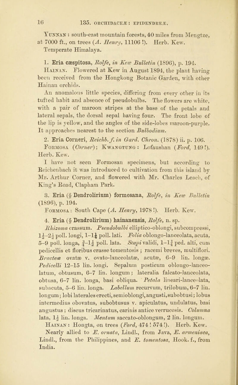 Yuxnan : south-east mountain forests, 40 miles from hlengtze, at 7000 ft., on trees (A. llenry^ lllOG !). Herb. Kew. Temperate Himalaya. 1. Eria caespitosa, Uolfe, in Kew Bulletin (1896), p. 194. Hainax. Tlowered at Kew in August 1894, the plant having been received from the Hongkong Botanic Garden, with other Hainan orchids. An anomalous little species, differing from every other in its tufted habit and absence of pseudobulbs. The flowers are white, with a pair of maroon stripes at the base of the petals and lateral sepals, the dorsal sepal having four. The front lobe of the lip is yellow, and the angles of the side-lobes maroon-purple. It approaches nearest to the section Bulhodiim. 2. Eria Corneri, Beiclib.f in Gard, Chron. (1878) ii. p. 106. Formosa {Corner')', Kwaxgtuno : Lofaushan {Ford, 149!). Herb. Kew. I have not seen Formosan specimens, but according to E eichenbach it was introduced to cultivation from this island by Mr. Arthur Corner, and flowered with Mr. Charles Leach, of King’s Eoad, Clapham Park. 8. Eria (§ Dendrolirium) formosana, Rolfe, in Keiv Bulletin (1896), p. 194. Formosa: South Cape {A. Henry, 19781). Herb. Kew. 4. Eria (§ Dendrolirium) hainanensis, Bolfe, n. sp. Bhizoma crassum. Bseudolulhi elliptico-oblongi, subcompressi, li-2| poll, longi, 1-1J poll. labi. Folia oblongo-lanceolata, acuta, 5-9 poll, longa, |-li poll. lata. validi, 1-1| ped. alti, cum pedicellis et floribus crasse tomentosis ; racemi breves, multiflori. Bractece ovatse v. ovato-lauceolatse, acutse, 6-9 lin. loiigse. Pedicelli 12-15 lin. longi. Sepalum posticum oblongo-lanceo- latum, obtusum, 6-7 lin. longum; lateralia falcato-lanceolata, obtiisa, 6-7 lin. longa, basi obliqua. ‘ Petala lineari-lanceolata, subacLita, 5-6 lin. longa. Lahellum recuiwum, trilobum, 6-7 lin. longum; lobi laterales erecti, semioblongi, angusti, subobtusi; lobus intermedius obovatus, subobtusus v. apiculatus, undulatus, basi angustus ; discus tricarinatus, carinis antice verrucosis. Columna lata, Ig lin. longa. Mentwm saccato-oblongum, 2 lin. longum. Hainan : Hongta, on trees {Ford, 474 ! 574!). Herb. Kew. Nearly allied to E. ornata, Liudl., from Java, E. armeniaca, Lindl., from the Philippines, and E. tomentosa, Hook, f., from India.