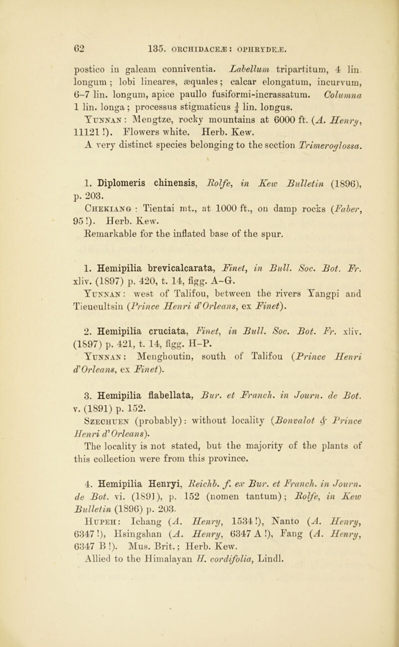 postico in galeam conniventia. Lahellum tripartitum, 4 lin. longum ; lobi lineares, nequales; calcar elongatum, incurvum, 6-7 lin. longum, apice paullo fusiformi-incrassatum. Columna 1 lin. longa; processus stigmaticus | lin. longus. : Mengtze, rocky mountains at 6000 ft. (^. 11121 !). Flowers white. Herb. Kew. A very distinct species belonging to the section Trimeroglossa. 1. Diplomeris chinensis, Rolfe, in Kew Bulletin (1896), p. 203. Chekiang : Tientai mt., at 1000 ft., on damp rocks {Faher^ 95!). Herb. Kew. Kemarkable for the inflated base of the spur. 1. Hemipilia brevicalcarata, Finely in Bull. Soc. Bot. Fr. xliv. (1897) p. 420, t. 14, figg. A-Gr. Yunnan : west of Talifou, between the rivers Yangpi and Tieueultsin {Prince Henri (^Orleans, ex Finef). 2. Hemipilia cruciata. Finely in Bull. Soc. Bot. Fr. xliv. (1897) p. 421, t. 14, figg. H-P. Yunnan : Mengboutin, south of Talifou {Prince Henri d'Orleans, ex Finef). 3. Hemipilia flabellata. Bur. et Franch. in Journ. de Bot. V.(1891) p. 152. Szechuen (probably) : without locality {Bonvalot Prince Henri d^ Orleans). The locality is not stated, but the majority of the plants of this collection were from this province. 4. Hemipilia Henryi, Beichh. f. ex Bur. et Franch. in Jotu'n. de Bot. vi. (1891), p. 152 (nomeii tantum); Bolfe, in Kew Bulletin (1896) p. 203. Hupeh: Ichang {A. Henry, 1534!), Nanto {A. Henry, 6347!), Hsingshan {A. Henry, 6347 A!), Pang {A. Henry, 6347 B !). Mus. Brit.; Herb. Kew. Allied to the Himalayan H. cordifolia, Lindl.