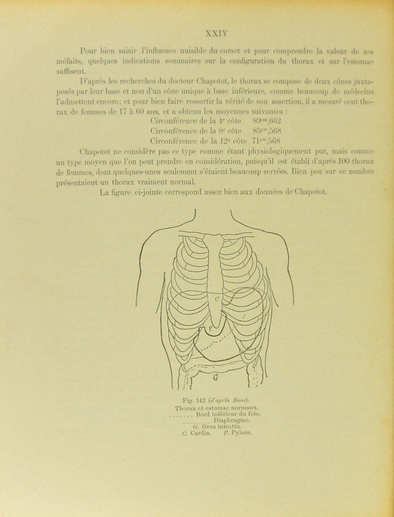 Pour bien snisir rinfluence nuisiblo «lu coraet et pour <■0111 j>r<*n<lr<* la valeur <i<- - -s méfaits, quelques indieations soimimiros sur la eoniigunition du thorax i*t stir IVsioinae su disen t. LVapros lt>s reeherchos <lu dooteur Chapotot, lo thorax sr ooiuposr do deux rAnrsjuxta- posés pur leur base et non d’un eöne unique it baso inftSrieure, eomtne beaurmip dr iiu-di-rin» rndiurttrut rttrorr; rt pour bion fai re rrssortir la vrritr dr son assortien, ii u niesun'* ernt tlm- rax dr femmes dr 17 ä (50 ans, et a obtcnu Irs inoyrnnos suivantos : Cirvonferonre dr la 41' röte H(Jcrn,(5(>2 Cirronfrretirr dr la 81' rotr 85tin,öf)K Cireonlorenee dr la 12° cöte 71,m,568 Chapotot ne ro tis i dr re pas re typo eonmie rtant pliysiologiqueuient pur, mais romtir: uu typo tnoyeu qur l’on pout prondro on considération, puisqu’il ost établi d’aprés 100 thorax dr femmes, dont quelques-unes sculement s’étaicnt beaucoup serrées. Bien pru sur co nonibro prosentaient un thorax vraiment nortual. La figure ci-jointe corrrspond assez bion aux données de Chapotot. Fig. 142 (d'aprl& Boas). Thorax ct estomac nonnaux. Hord interiour du foic. Diaphragme. (}. Gros inte©tin. C. Cardia. F. Pylorc.