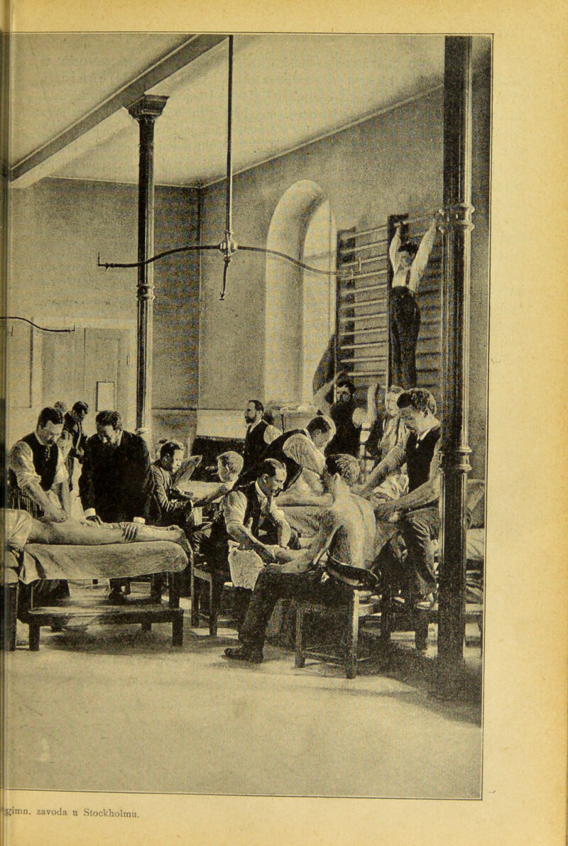 tcimn. zavoda u Htockholmu
