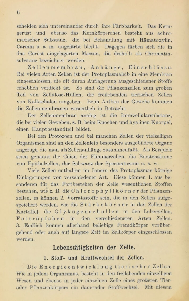 scheiden sich untereinander durch ihre Färbbarkeit. Das Kern- geriist und ebenso das Kernkörperchen besteht aus achro- matischer Substanz, die bei Behandlung mit Hämatoxylin, Carmin u. a. m. ungefärbt bleibt. Dagegen färben sich die in das Gerüst eingelagerten Massen, die deshalb als Chromatin- substanz bezeichnet werden. Zellenmembran, Anhänge, Einschlüsse. Bei vielen Arten Zellen ist der Protoplasmaleib in eine Membran eingeschlossen, die oft durch Auflagerung ausgeschiedener Stoffe erheblich verdickt ist. So sind die Pflanzenzellen zum großen Teil von Zellulose-Hüllen, die freilebenden tierischen Zellen von Kalkschalen umgeben. Beim Aufbau der Gewebe kommen die Zellenmembranen wesentlich in Betracht. Der Zellenmembran analog ist die Interzellularsubstanz, die bei vielen Geweben, z. B. beim Knochen und hyalinen Knorpel, einen Hauptbestandteil bildet. Bei den Protozoen und bei manchen Zellen der vielzelligen Organismen sind an den Zellenleib besonders ausgebildete Organe angefügt, die man als Zellenanhänge zusammenfaßt. Als Beispiele seien genannt die Cilien der Flimmerzellen, die Borstensäume von Epithelzellen, der Schwanz der Spermatozoen u. s. w. Viele Zellen enthalten im Innern des Protoplasmas körnige Einlagerungen von verschiedener Art. Diese können 1. aus be- sonderen für das Fortbestehen der Zelle wesentlichen Stoffen bestehen, wie z. B. die Chlorophyllkörner der Pflanzen- zellen, es können 2. Vorratsstoffe sein, die in den Zellen aufge- speichert werden, wie die Stärkekörner in den Zellen der Kartoffel, die Glykogenschollen in den Leberzellen, Fettröpfchen in den verschiedensten Arten Zellen. 3. Endlich können allerhand beliebige Fremdkörper vorüber- gehend oder auch auf längere Zeit im Zellkörper eingeschlossen werden. Lebenstätigkeiten der Zelle. 1. Stoff- und Kraftwechsel der Zellen. Die Energieentwicklung tierischer Zellen. Wie in jedem Organismus, besteht in den freilebenden einzelligen Wesen und ebenso in jeder einzelnen Zelle eines größeren Tier- oder Pflanzenkörpers ein dauernder Stoffwechsel. Mit diesem