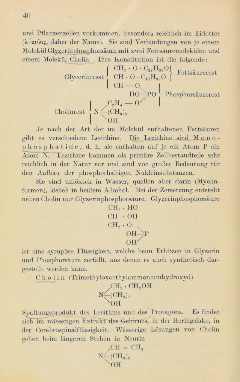 und Pflanzenzellen Vorkommen, besonders reichlich im Eidotter (X xiooc, daher der Name). Sie sind Verbindungen von je einem Molekül Glyzerinphosphorsäure mit zwei Fettsäuremolekülen und einem Molekül Cholin. Ihre Konstitution ist die folgende: Glycerinresst Cholinrest N | CH2 • 0 • c CH • O • C18H I CH-Ov HO-VPO 18H35OI Fettsäurerest 0 I Phosphorsäurerest ,C2H4 — 0' (CH3)3 1 xOH Je nach der Art der im Molekül enthaltenen Fettsäuren gibt es verschiedene Lecithine. Die Lezithine sind Mono- phosphatide, d. h. sie enthalten auf je ein Atom P ein Atom N. Lezithine kommen als primäre Zellbestandteile sehr reichlich in der Natur vor und sind von großer Bedeutung für den Aufbau der phosphorhaltigen Nukleinsubstanzen. Sie sind unlöslich in Wasser, quellen aber darin (Myelin- formen), löslich in heißem Alkohol. Bei der Zersetzung entsteht neben Cholin nur Glyzerinphosphorsäure. Glyzerinphosphorsäure CH, • HO CH • OH CH, • 0 N OH—P OHX ist eine syrupöse Flüssigkeit, welche beim Erhitzen in Glyzerin und Phosphorsäure zerfällt, aus denen es auch synthetisch dar- gestellt werden kann. Cholin (Trimethyloxaethylammoniumhydroxyd) ch2 . ch2oh nAch3)3 XOH Spaltungsprodukt des Lecithins und des Protagons. Es findet sich im wässerigen Extrakt des Gehirnes, in der Heringslake, in der Cerebrospinalflüssigkeit. Wässerige Lösungen von Cholin gehen beim längeren Stehen in Neurin CH - CH2 nAch3)3 XOH