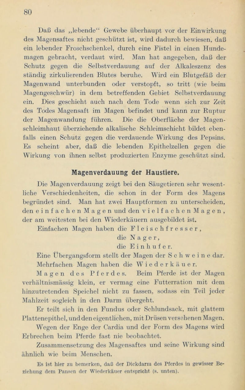 Daß das „lebende“ Gewebe überhaupt vor der Einwirkung des Magensaftes nicht geschützt ist, wird dadurch bewiesen, daß ein lebender Froschschenkel, durch eine Fistel in einen Hunde- magen gebracht, verdaut wird. Man hat angegeben, daß der Schutz gegen die Selbstverdauung auf der Alkaleszenz des ständig zirkulierenden Blutes beruhe. Wird ein Blutgefäß der Magen wand unterbunden oder verstopft, so tritt (wie beim Magengeschwür) in dem betreffenden Gebiet Selbstverdauung ein. Dies geschieht auch nach dem Tode wenn sich zur Zeit des Todes Magensaft im Magen befindet und kann zur Ruptur der Magenwandung führen. Die die Oberfläche der Magen- schleimhaut überziehende alkalische Schleimschicht bildet eben- falls einen Schutz gegen die verdauende Wirkung des Pepsins. Es scheint aber, daß die lebenden Epithelzellen gegen die Wirkung von ihnen selbst produzierten Enzjune geschützt sind. Magenverdauung der Haustiere. Die Magenverdauung zeigt bei den Säugetieren sehr wesent- liche Verschiedenheiten, die schon in der Form des Magens begründet sind. Man hat zwei Hauptformen zu unterscheiden, den einfachen Magen und den vielfachenMagen, der am weitesten bei den Wiederkäuern ausgebildet ist. Einfachen Magen haben die Fleischfresser, die Nager, die Einhufer. Eine Übergangsform stellt der Magen der Schweine dar. Mehrfachen Magen haben die Wiederkäuer. Magen des Pferdes. Beim Pferde ist der Magen verhältnismässig klein, er vermag eine Futterration mit dem hinzutretenden Speichel nicht zu fassen, sodass ein Teil jeder Mahlzeit sogleich in den Darm übergeht. Er teilt sich in den Fundus oder Schlundsack, mit glattem Plattenepithel, und den eigentlichen, mit Drüsen versehenen Magen. Wegen der Enge der Cardia und der Form des Magens wird Erbrechen beim Pferde fast nie beobachtet. Zusammensetzung des Magensaftes und seine Wirkung sind ähnlich wie beim Menschen. Es ist hier zu bemerken, daß der Dickdarm des Pferdes in gewisser Be- ziehung dem Pansen der Wiederkäuer entspricht (s. unten).