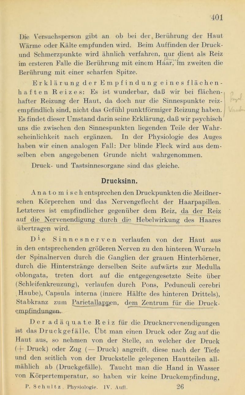 Die Versuchsperson gibt an ob bei der Berührung der Haut Wärme oder Kälte empfunden wird. Beim Auffinden der Druck- und Schmerzpunkte wird ähnlich verfahren, pur dient als Reiz im ersteren Falle die Berührung mit einem Haar, im zweiten die Berührung mit einer scharfen Spitze. Erklärung der Empfindung eines flächen- haften Reizes: Es ist wunderbar, daß wir bei flächen- hafter Reizung der Haut, da doch nur die Sinnespunkte reiz- empfindlich sind, nicht das Gefühl punktförmiger Reizung haben. Es findet dieser Umstand darin seine Erklärung, daß wir psychisch uns die zwischen den Sinnespunkten liegenden Teile der Wahr- scheinlichkeit nach ergänzen. In der Physiologie des Auges haben wir einen analogen Fall: Der blinde Fleck wird aus dem- selben eben angegebenen Grunde nicht wahrgenommen. Druck- und Tastsinnesorgane sind das gleiche. Drucksinn. Anatomisch entsprechen den Druckpunkten die Meißner- schen Körperchen und das Nervengeflecht der Haarpapillen. Letzteres ist empfindlicher gegenüber dem Reiz, da der Reiz auf die Nervenendigung durch die Hebelwirkung des Haares übertragen wird. D 1 e Sinnesnerven verlaufen von der Haut aus in den entsprechenden größeren Nerven zu den hinteren Wurzeln der Spinalnerven durch die Ganglien der grauen Hinterhörner, durch die Hinterstränge derselben Seite aufwärts zur Medulla oblongata, treten dort auf die entgegengesetzte Seite über (Schleifenkreuzung), verlaufen durch Pons, Pedunculi cerebri Haube), Capsula interna (innere Hälfte des hinteren Drittels), Stabkranz zum Parietallappen, dem Zentrum für die Druck- empfindungen. Der adäquate Reiz für die Drucknervenendigungen ist das Druckgefälle. Übt man einen Druck oder Zug auf die Haut aus, so nehmen von der Stelle, an welcher der Druck ( {- Druck) oder Zug (—Druck) angreift, diese nach der Tiefe und den seitlich von der Druckstelle gelegenen Hautteilen all- mählich ab (Druckgefälle). Taucht man die Hand in Wasser von Körpertemperatur, so haben wir keine Druckempfindung. P. Schultz, Physiologie. IV. Aufl. 26