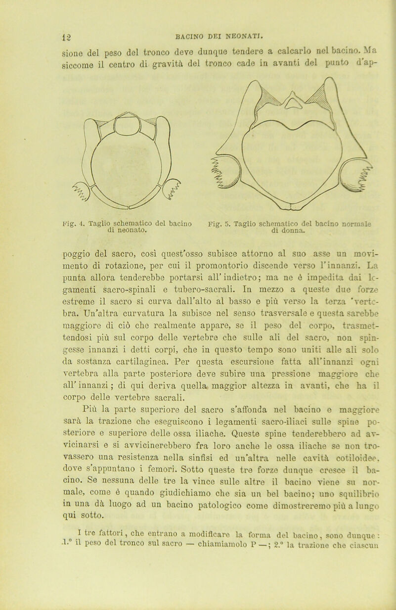 sioue del peso del tronco deve dunque tendere a calcarlo nel bacino. Ma siccorae il centro dL gravitä del tronco eade in avanti del punto a’ap- poggio del sacro, cosi quest’osso subisce attorno al suo asse un movi- mento di rotazione, per cui il promontorio discende verso 1’innanzi. La punta allora tenderebbe portarsi all’iudietro; ma ne ö impedita dai lc- gamenti sacro-spinali e tubero-sacrali. In mezzo a queste due forze estreme il sacro si curva dall’alto al basso e piü verso la terza ’vertc- bra. Un’altra curvatura la subisce nel senso trasversale e questa sarebbe maggiore di cid che realmente appare, se il peso del corpo, trasmet- tendosi piü sul corpo delle vertebre che sulle ali del sacro, non spin- gesse innanzi i detti corpi, che in questo tempo sono uniti alle ali solo da sostanza cartilaginea. Per questa escursione fatta all’innanzi ogni vertebra alla parte posteriore deve subire una pressione maggiore che all’ innanzi ; di qui deriva quella maggior altezza in avanti, che ha il corpo delle vertebre sacrali. Piü la parte superiore del sacro s’affonda nel bacino e maggiore sarü la trazione che eseguiscono i legamenti sacro-iliaci sulle spiue po- steriore e superiore delle ossa iliache. Queste spine tenderebbero ad av- vicinarsi e si avvicinerebbero fra loro anche le ossa iliache se non tro- vassero una resistenza nella sinfisi ed un’altra nelle cavitü cotiloidee. dove s appuntauo i femori. Sotto queste tre forze dunque cresce il ba- cino. Se nessuna delle tre la vince sulle altre il bacino viene su nor- male, come d quando giudichiamo che sia un bei bacino; uno squilibrio in una dü luogo ad un bacino patologico come dimostreremo piü a lungo qui sotto. I tre fattori, che entrano a modiflcare la forma del bacino, sono dunque : -1. il peso del tronco sul sacro — chiamiamolo P —; 2.“ la trazione che ciascun