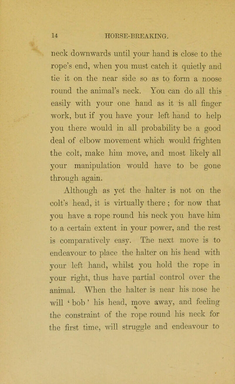 neck downwards until your hand is close to the rope’s end, when you must catch it quietly and tie it on the near side so as to form a noose round the animal’s neck. You can do all this easily with your one hand as it is all finger work, but if you have your left hand to help you there would in all probability be a good deal of elbow movement which would frighten the colt, make him move, and most likely all your manipulation would have to be gone through again. Although as yet the halter is not on the colt’s head, it is virtually there ; for now that you have a rope round his neck you have him to a certain extent in your power, and the rest is comparatively easy. The next move is to endeavour to place the halter on his head with your left hand, whilst you hold the rope in your right, thus have partial control over the animal. When the halter is near his nose he will ‘ bob ’ his head, move away, and feeling the constraint of the rope round his neck for the first time, will struggle and endeavour to