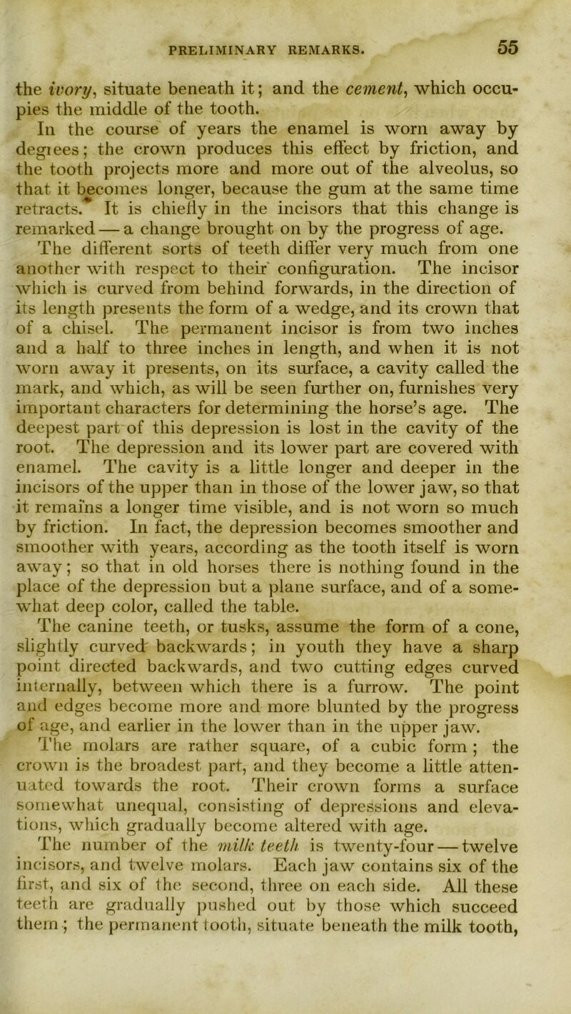 the ivory, situate beneath it; and the cement, which occu- pies the middle of the tooth. In the course of years the enamel is worn away by degiees; the crown produces this effect by friction, and the tooth projects more and more out of the alveolus, so that it becomes longer, because the gum at the same time retracts. It is chiefiy in the incisors that this ehange is remarked — a ehange brought on by the progress of age. The different sorts of teeth differ very much from one another with respect to their' configuration. The ineisor which is curved from behind forwards, in the direction of its length presents the form of a wedge, and its crown that of a chisel. The permanent ineisor is from two inches and a half to three inches in length, and when it is not worn away it presents, on its surface, a cavity called the mark, and which, as will be seen further on, fnrnishes very important characters for determining the horse’s age. The deepest part of this depression is lost in the cavity of the root. The depression and its lower part are covered with enamel. The cavity is a little longer and deeper in the incisors of the upper than in those of the lower jaw, so that it remaiiis a longer time visible, and is not worn so much by friction. In fact, the depression becomes smoother and smoother with years, according as the tooth itself is worn away; so that in old horses there is nothing found in the place of the depression but a plane surface, and of a some- wliat deep color, called the table. The canine teeth, or tusks, assume the form of a cone, slightly curved backwards; in youth they have a sharp point directed backwards, and two cutting edges curved internally, between which there is a furrow. The point and edges become more and more blunted by the progress of age, and earlier in the lower than in the upper jaw. The molars are rather square, of a cubic form ; the crown is the broadest part, and they become a little atten- uated towards the root. Their crown forms a surface somewhat unequal, consisting of depressions and eleva- tions, which gradually become altered with age. The number of the milk teeth. is twenty-four — twelve incisors, and twelve molars. Each jaw contains six of the first, and six of the second, three on each side. All these teeth are gradually pushed out by those which succeed them ; the permanent tooth, situate beneath the milk tooth,