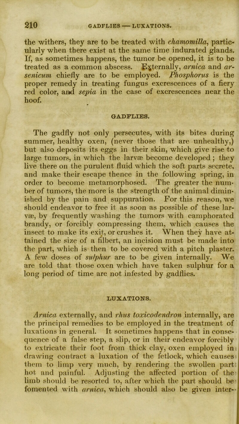 the withers, they are to be treated with chamomilla, partic- ularly when there exist at the same time indurated glands. If, as sometimes happens, the tumor be opened, it is to be treated as a common abscess. E^ternally, arnica and ar~ senicum chiefly are to be employed. Phosphorits is the proper remedy in treating fungus excrescences of a fiery red color, and sepia in the case of excrescences near the hoof. GADFLIES. The gadfly not only persecutes, with its bites during summer, healthy oxen, (never those that are unhealthy,) but also deposits its eggs in their skin, which give rise to large tumors, in which the larvae become developed ; they live there on the purulent fluid which the soft parts secrete, and make their escape thence in the following spring, in Order to become metamorphosed. The greater the num- ber of tumors, the more is the strength of the animal dimin- ished by the pain and suppuration. For this reason, we should endeavor to free it as soon as possible of these lar- vae, by frequently washing the tumors with camphorated brandy, or forcibly compressing them, which causes the insect to make its exit, or crushes it. When they have at- tained the size of a filbert, an incision must be made into the part, which is then to be covered with a pitch plaster. A few doses of sulphur are to be given intern ally. We are told that those oxen which have taken sulphur for a long period of time are not infested by gadflies. LUXATIONS. Arnica extern ally, and rhus toxicodendron internally, are the principal remedies to be employed in the treatment. of luxations in general. It sometimes happens that in conse- quence of a false step, a slip, or in their endeavor forcibly to extricate their foot frorn thick clay, oxen employed im drawing contract a luxation of the fetlock, which causes them to limp very much, by rendering the swollen part hot and painful. Adjusting the afl’ected portion of the limb should be resorted to, after which the part should be fomented with arnica, which should also be given inter-