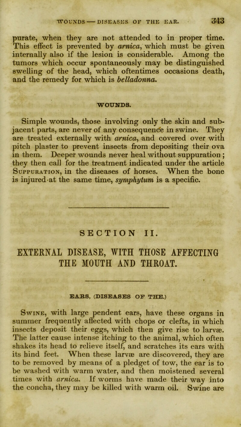 purate, when they are not attended to in proper time. This effect is prevented by arnica, which must be given internally also if the lesion is considerable. Among the tumors which occur spontaneously may be distinguished swelling of the head, which oftentimes occasions death, and the remedy for which is belladonna. WOUNDS. Simple wounds, those involving only the skin and sub- jacent parts, are never of any consequende in swine. They are treated externally with arnica, and covered over with pitch plaster to prevent insects ffom depositing their ova in them. Deeper wounds never heal without suppuration ; they then call for the treatment indicated under the article Suppuration, in the diseases of horses. When the bone is injured at the same time, symphytum is a specific. SECTION II. EXTERNAL DISEASE, WITH THOSE AFFECTING THE MOUTH AND THROAT. EARS, (DISEASES OP THE.) Swine, with large pendent ears, have these Organs in summer frequently affected with chops or clefts, in which insects deposit their eggs, which then give rise to larvae. The latter cause intense itching to the animal, which often shakes its head to relieve itself, and scratches its ears with its hind feet. When these larvas are discovered, they are to be removed by means of a pledget of tow, the ear is to be washed with warm water, and then moistened several times with arnica. If worms have made their way into the concha, they may be killed with warm oil. Swine are