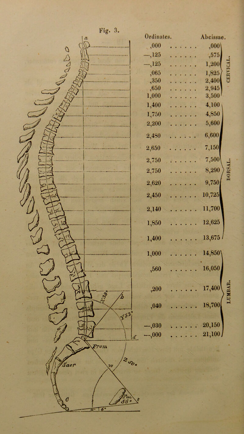 Abcissae. ,000' ,575 1,200 1,825 / 2,400 2,945] 3,500' 4,100 4,850 5,6001 6,600 7,150 7,500\ 8,290 9,750/ 10,725| 11,700] 12,625 13,675 14,850^ 16,050 j 17,400 \ 18,700 20,150 21,100, LUMBAR. DORSAL. CERVICAL
