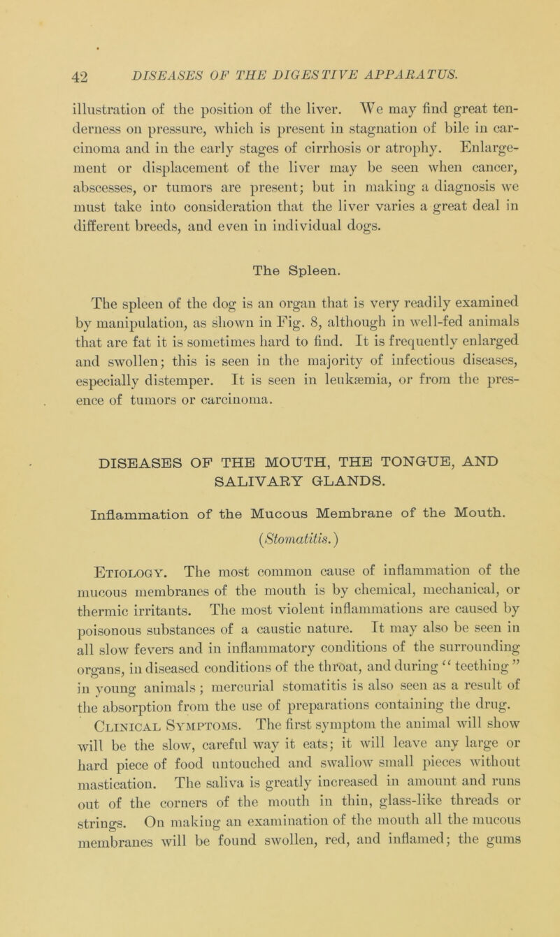 illustration of the position of the liver. We may find great ten- derness 011 pressure, which is present in Stagnation of bile in car- cinoma and in the early stages of cirrhosis or atrophy. Enlarge- rnent or displacement of the liver may be seen when cancer, abscesses, or tumors are present; but in making a diagnosis we must take into consideration that the liver varies a great deal in different breeds, and even in individual dogs. The Spleen. The spieen of the dog is an organ that is very readily examined by manipulation, as shown in Fig. 8, although in well-fed animals that are fat it is sometimes hard to find. It is frequently enlarged and swollen; this is seen in the majority of infectious diseases, especially distemper. It is seen in leuksemia, or from the pres- ence of tumors or carcinoma. DISEASES OF THE MOUTH, THE TONGUE, AND SALI VARY GL AND S. Inflammation of the Mucous Membrane of the Mouth. (Stomatitis.) Etiology. The most common cause of inflammation of the mucous membranes of the mouth is by Chemical, mechanical, or thermic irritants. The most violent inflammations are caused by poisonous substances of a caustic nature. It may also be seen in all slow fevers and in inflammatory conditions of the surronnding orcmus, indiseased conditions of the throat, and during “ teething ” in young animals; mercurial Stomatitis is also seen as a resnlt of the absorption from the use of preparations containing the drug. Clinical Symptoms. The first Symptom the animal will show will be the slow, careful way it eats; it will leave any large or hard piece of food untouched and swaliow small pieces withont masticatiou. The saliva is greatly increased in amonnt and runs out of the corners of the mouth in thin, glass-like threads or strings. On making an examination of the mouth all the mucous membranes will be found swollen, red, and inflamed; the gums