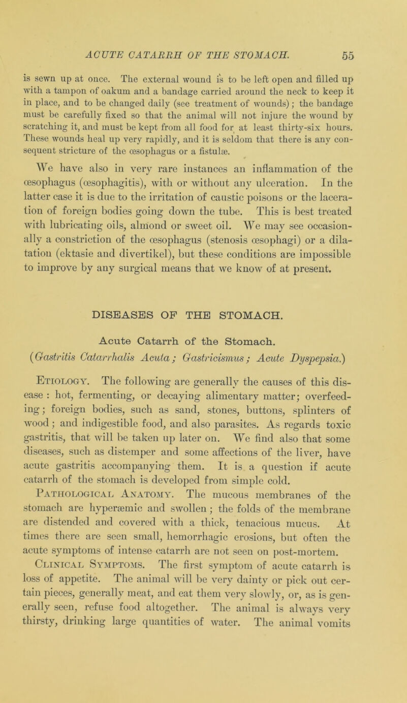 is sewn up at once. The external wouncl i's to be left open and filled up with a tampon of oakum and a bandage carried around tbe neck to keep it in place, and to be changed daily (see treatment of wounds); tbe bandage must be carefully fixed so that tbe animal will not injure tbe wound by scratcbing it, and must be kept from all food for at least tkirty-six hours. These wounds beal up very rapidly, and it is seldom that there is any con- sequent stricture of tbe cesophagus or a fistulae. We have also in very rare instances an inflammation of tbe cesophagus (oesophagitis), with or without any ulceration. In the latter case it is due to the irritation of caustie poisons or the lacera- tion of foreign bodies going down the tube. This is best treated with lubricating oils, almond or sweet oil. We may see occasion- ally a constrietion of the cesophagus (stenosis oesophagi) or a dila- tation (cktasie and divertikel), but these conditions are impossible to improve by any surgical means that we know of at present. DISEASES OF THE STOMACH. Acute Catarrh of the Stomach. (Gastritis Catarrhalis Acuta; Gastricismus ; Acute Dyspejisia.) Etiology. The following are generally the causes of this dis- ease : hot, fermenting, or decaying alimentary matter; overfeed- ing ; foreign bodies, such as sand, stones, buttons, splinters of wood; and indigestible food, and also parasites. As regards toxic gastritis, that will be taken up later on. We find also that some diseases, such as distemper and some affections of the liver, have acute gastritis accompanying them. It is a question if acute catarrh of the stomach is developed from simple cold. Pathological Anatomy. The mucous membranes of the stomach are hypersemic and swollen; the folds of the membrane are distended and covered with a tliick, tenacious mucus. At times there are scen small, hemorrhagic erosions, but often the acute Symptoms of intcnse catarrh are not seen on post-mortem. Clinical Symptoms. The first Symptom of acute catarrh is loss of appetite. The animal will be very dainty or pick out cer- tain pieces, generally meat, and eat tlieni very slowly, or, as is gen- erally seen, refuse food altogethcr. The animal is always very thirsty, drinking large quantities of water. The animal vomits