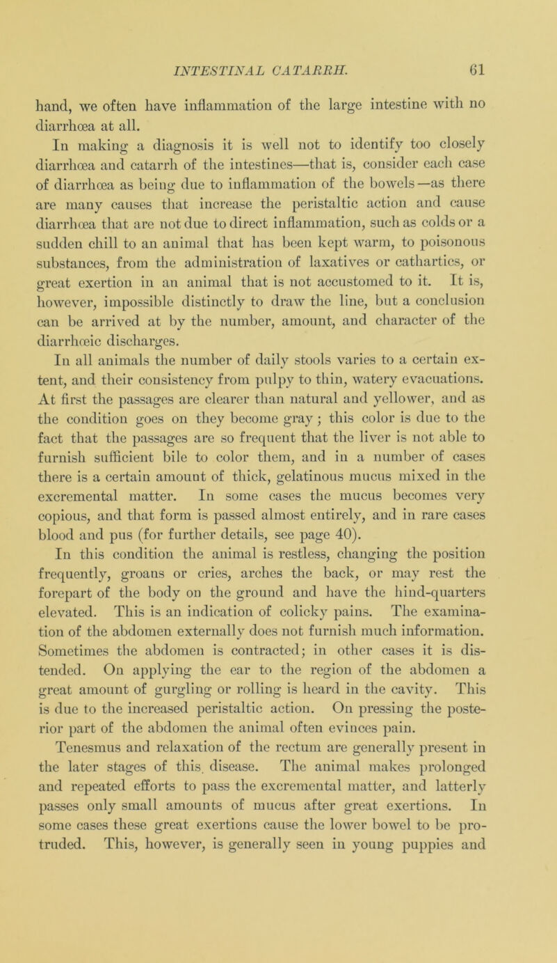 hand, we often liave inflammation of the large intestine with no diarrhcea at all. In raaking a diagnosis it is well not to identify too closely diarrlioea and catarrh of the intestines—that is, consider eacli case of diarrlioea as being due to inflammation of the bowels—as there are many causes that increase the peristaltic action and cause diarrlioea that are not due to direct inflammation, suchas coldsor a siulden chill to an animal that has been kept warm, to poisonous substances, from the administration of laxatives or cathartics, or great exertion in an animal that is not accustomed to it. It is, however, impossible distinctly to draw the line, but a conclusion can be arrived at by the number, amount, and character of the diarrhoeic discharges. In all animals the number of daily stools varies to a certain ex- tent, and their consistency from pulpy to thin, watery evacuations. At first the passages are clearer than natural and yellower, and as the condition goes on they become gray; this color is due to the fact that the passages are so frequent that the liver is not able to furnish sufficient bile to color them, and in a number of cases there is a certain amount of thick, gelatinous mucus mixed in the excremental matter. In some cases the mucus becomes very copious, and that form is passed almost entirely, and in rare cases blood and pus (for further details, see page 40). In this condition the animal is restless, changing the position frequently, groans or cries, arches the back, or may rest the forepart of the body on the ground and liave the hind-quarters elevated. This is an indication of colicky pains. The examina- tion of the abdomen externally does not furnish much information. Sometimes the abdomen is contracted; in other cases it is dis- tended. On applying the ear to the region of the abdomen a great amount of gurgling or rolling is heard in the cavity. This is due to the increased peristaltic action. On pressing the poste- rior part of the abdomen the animal often evinces pain. Tenesmus and relaxation of the rectum are generally present in the later stages of this. disease. The animal makes prolonged and repeated efforts to pass the excremental matter, and latterly passes only small amounts of mucus after great exertions. In some cases these great exertions cause the lower bowel to be pro- truded. This, however, is generally seen in young puppies and