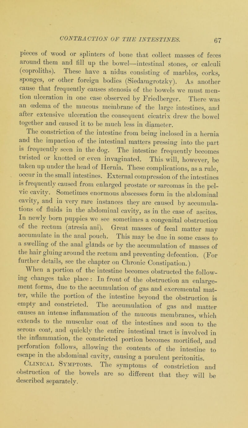 CONTRA CTION OF THE INTESTINES. pieces of wood or splinters of bone that collect raasses of feces around them and 611 up the bowel—intestinal stones, or calculi (coproliths). These have a nidus consisting of marbles, corks, sponges, or otlier foreign bodies (Siedamgrotzky). As anotker cause that frequently causes Stenosis of the bowels we must men- tion ulceration in one case observed by Friedberger. There was an cedema of the mucous meinbrane of the large in testin cs, and after extensive ulceration the consequeut cicatrix drew the bowel together and caused it to be mucli less in diameter. The constriction of the intestine from being inclosed in a hernia and the impaction of the intestinal matters pressing into the part is frequently seen in the dog. The intestine frequently becomes twisted or knotted or even invaginated. This will, however, bc taken up under the head of Hernia. These complications, as a rule, occur in the small intestines. External compression of the intestines is fiequently caused from enlarged prostate or sarcomas in the pel- vic cavity. Sometimes enormous abscesses form in the abdominal cavity, and in very rare instances they are caused bv accumula- tions of fluids in the abdominal cavity, as in tlie case of ascites. In newly born puppies we see sometimes a congenital obstructiou of the rectum (atresia ani). Great masses of fecal matter may accumulate in the anal pouch. This may be due in some cases to a swelling of the anal glands or by the accumulation of masses of the liair gluing around the rectum and preventing defecation. (For further details, see the chapter on Chronic Constipation.) When a portion of the intestine becomes obstructed the follow- ing changes take place : In front of the obstructiou an enlarge- ment foims, due to the accumulation of gas and excremental mat- ter, while the portion of the intestine beyond the obstruction is empty and constricted. The accumulation of gas and matter causes an intense inflammation of the mucous membranes, which extends to the muscular coat of the intestines and sooi/ to the serous coat, and quickly the entire intestinal tract is involved in the inflammation, the constricted portion becomes mortified, and Perforation follows, allowing the contents of the intestine to escape in the abdominal cavity, causing a purulent peritonitis. Clinical Symptoms. The Symptoms of constriction and obstructiou of the bowels are so different that they will be described separately.