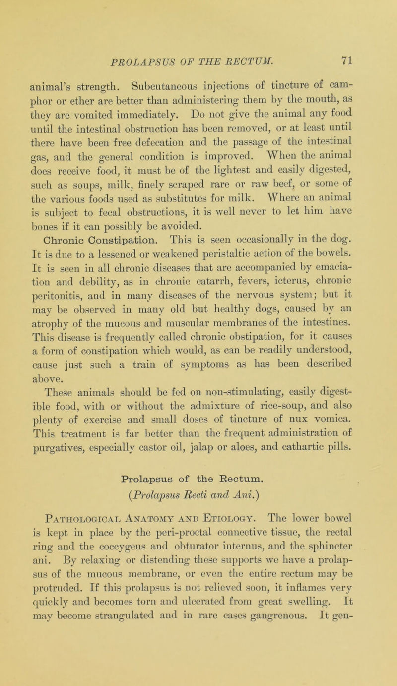 animaks strength. Subcutaneous injections of tincture of cam- phor or ether are better tlian administering them by the mouth, as they are vomited immediately. Do not give the animal any food until the intestinal obstruction has been removed, or at least nntil there liave been free defecation and the passage of the intestinal gas, and the general condition is improved. When the animal does receive food, it must bc of the lightest and easily digested, such as soups, milk, finely scraped rare or raw beef, or some of the various foods used as substitutes for milk. Where an animal is subject to fecal obstructions, it is well never to let him liave bones if it can possibly be avoided. Chronic Constipation. Tliis is seen occasionally in the dog. It is due to a lessened or weakened peristaltic action of the bowels. It is seen in all chronic diseases that are accompanied by emacia- tion and debility, as in chronic catarrh, fevers, icterus, chronic peritonitis, and in many diseases of the nervous System; but it may be observed in many old but healthy dogs, caused by an atrophy of the mucous and muscular membranesof the intestines. Tliis disease is frequently called chronic Obstipation, for it causes a form of constipation wliicli would, as can be readily understood, cause just such a train of Symptoms as has been described above. These animals should be fed on non-stimulating, easily digest- ible food, with or without the admixture of rice-soup, and also plenty of exercise and small doses of tincture of nux vomica. Tliis treatment is far better tlian the frequent administration of pnrgatives, especially castor oil, jalap or aloes, and cathartic pills. Prolapsus of the Rectum. (Prolapsus Recti and Ani.) Patiiological Anatomy and Etiology. The lower bowel is kept in place by the peri-proctal connective tissue, the rectal ring and the coccygeus and obturator internus, and the sphincter ani. By relaxing or distending tliese supports we liave a prolap- sus of the mucous membrane, or evcn the entire rectum may be protruded. If tliis prolapsus is not relieved soon, it inflames very quickly and becomes torn and nlcerated from great swelling. It may becomc strangulated and in rare cases gangrenous. It gen-