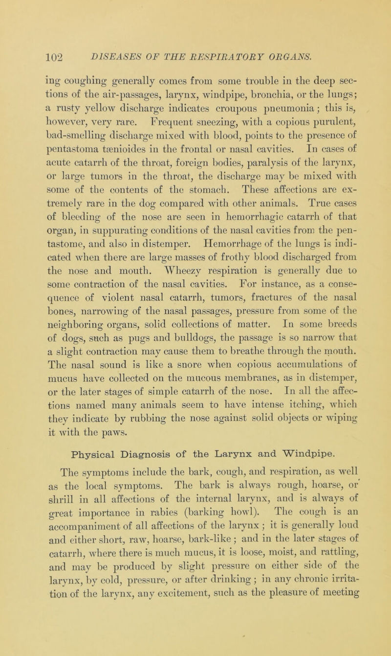 ing coughing generally comes frorn sorae trouble in the Jeep sec- tions of the air-passages, larynx, windpipe, bronchia, or the längs; a rusty yellow discharge indicates croupous pneumonia; tliis is, however, very rare. Frequent sneezing, witli a copious purulent, bad-smelling discharge mixed with blood, points to the presence of pentastoma tsenioides in the frontal or nasal cavities. In cases of acute catarrh of the tliroat, foreign bodies, paralysis of the larynx, or large tumors in the tliroat, the discharge may be mixed with some of the contents of the stomach. These affections are ex- tremely rare in the dog comparcd with other animals. True cases of bleeding of the nose are seen in hemorrhagic catarrh of that orgau, in suppurating conditions of the nasal cavities frorn the pen- tastoiue, and also in distemper. Hemorrhage of the lnngs is indi- cated when there are large masses of frothy blood discharged frorn the nose and mouth. Wheezy respiration is generally due to some contraction of the nasal cavities. For instance, as a conse- quence of violent nasal catarrh, tnmors, fractures of the nasal bones, narrowing of the nasal passages, pressure frorn some of the neighboring Organs, solid collections of matter. In some breeds of dogs, such as pugs and bulldogs, the passage is so narrow that a sliffht contraction mav cause them to breathe throudi the mouth. The nasal sonud is like a snore when copions accumulations of mucus have collected on the mucous membranes, as in distemper, or the later stages of simple catarrh of the nose. In all the affec- tions named many animals seem to have inteuse itching, which they indicate by rubbing the nose against solid objects or wiping it with the paws. Physical Diagnosis of the Larynx and Windpipe. The Symptoms include the bark, cough, and respiration, as well as the local Symptoms. The bark is always rough, hoarse, or shrill in all affections of the internal larynx, and is always of great importance in rabies (barking howl). The cough is an accompaniment of all affections of the larynx ; it is generally loud and either short, raw, hoarse, bark-like ; and in the later stages of catarrh, where there is mueh mucus, it is loose, moist, and rattling, and may be produced by sliglit pressure on either side of the larynx, by cold, pressure, or after drinking ; in any chronic irrita- tion of the larynx, any excitement, such as the pleasure of meeting