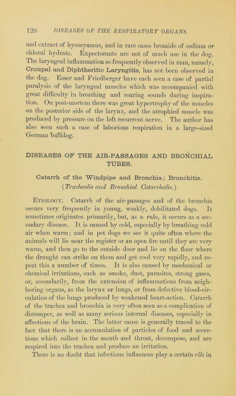 and extract of hyoscyamus, and in rare cases bromide of sodium or chloral hydrate. Expectorants are not of much use in the dog. The laryngeal inflammation so frequently observTed in man, namely, Croupal and Diphtheritic Laryngitis, has not been observed in the dog. Esser and Friedberger have eacli seen a case of partial paralysis of the laryngeal muscles which was accompanied with great difficulty in breathing and roaring sounds during inspira- tion. On post-mortem there was great hypertrophy of the muscles on the posterior side of the larynx, and the atrophied muscle was produced by pressure on the left recurrent nerve. The author has also seen such a case of laborious respiration in a large-sized German bulldog. DISEASES OF THE AIR-PASSAG-ES AND BRONCHIAL TUBES. Catarrh of the Windpipe and Bronchia; Bronchitis. (Trachealis and Bronchial Catarrlialis.) Etiology. Catarrh of the air-passages and of the bronchia oecurs very frequently in young, weakly, debilitated dogs. It sometimes originates primarily, but, as a rule, it occurs as a sec- ondary disease. It is caused by cold, especially by breathing cold air when warm; and in pet dogs we see it quite often wliere the animals will lie near the register or an open fire until they are very warm, and then go to the outside door and lie on the floor where the draught can strike on them and get cool very rapidly, and re- peat this a number of times. It is also caused bv mechanical or chemical irritations, such as smoke, dust, parasites, strong gases, or, secondarily, from the extension of inflammations from ueigli- boring organs, as the larynx or lungs, or from defective blood-cir- culation of the lungs produced by weakened heart-action. Catarrh of the trachea and bronchia is very often seen as a complication of distemper, as well as many serious internal diseases, especially in affections of the brain. The latter cause is generally traced to the fact that there is an accumulation of partides of food and secre- tions which collect in the moutli and throat, decompose, and are respired into the trachea and produce an irritation. There is no doubt that infectious influences play a certain role iu