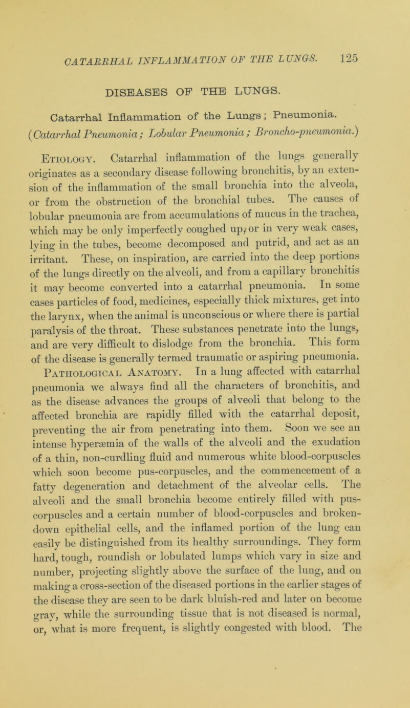 DISEASES OF THE LUNGS. Catarrhal Inflammation of the Lungs ; Pneumonia. (Catarrhal Pneumonia ; Lobular Pneumonia ; Proncho-pneumonia.) Etiology. Catarrhal inflammation of the lungs generally originates as a secondary disease following bronchitis, by an exten- sion of the inflammation of the small bronchia into the al\ eola, or from the obstruction of the bronchial tubes. The causcs of lobular pneumonia are from acciimulations of mucus in the trachea, which may be only imperfectly coughed up#or in very weak cases, lying in the fcubes, become decomposed and putrid, and act as an irritant. These, on inspiration, are carried into the deep portions of the lungs directly on the alveoli, and from a capillary bronchitis it may become converted into a catarrhal pneumonia. In some cases particles of food, medicines, especially thick mixtures, get into the larynx, when the animal is unconscious or where tliere is partial parälysis of the throat. These substances penetrate into the lungs, and are very difficult to dislodge from the bronchia. Ihis form of the disease is generally termed traumatic or aspiring pneumonia. Pathological Anatomy. In a lung affected with catarrhal pneumonia we always find all the characters of bronchitis, and as the disease advances the groups of alveoli that belong to the affected bronchia are rapidly filled with the catarrhal deposit, preventing the air from penetrating into them. Soon we see an intcnse hypersemia of the walls of the alveoli and the exudation of a thin, non-curdling fluid and numerous white blood-corpuscles which soon become pus-corpuscles, and the commencement of a fatty degeneration and detachment of the alveolar cells. The alveoli and the small bronchia become entircly filled with pus- corpuscles and a certain number of blood-corpuscles and broken- dowu epithelial cells, and the inflamed portion of the lung can easily be distinguished from its healthy surroundings. Tliey form hard, tough, roundish or lobulated lumps which vary in size and number, projecting slightly above the surface of the lung, and on making a cross-section of the diseased portions in the earlier stages of the disease they are seen to be dark bluisli-red and later on become gray, while the surrounding tissue that is not diseased is normal, or, what is more frecpient, is slightly congested with blood. The