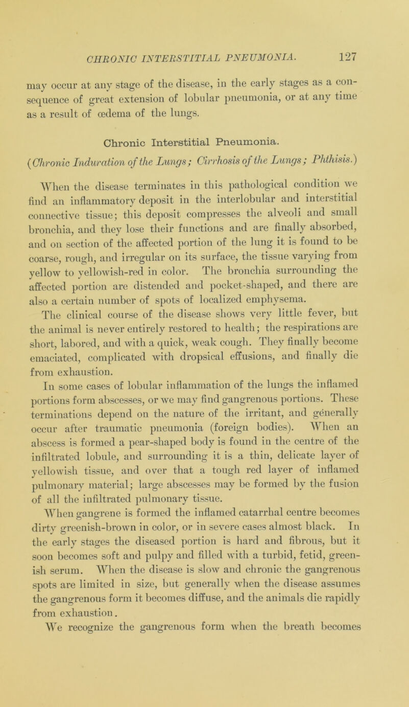 may occur at any stage of the disease, in the early stages as a con- sequence of great extension of lobular pneumonia, or at any tiuie as a result of cedema of the lungs. Chronic Interstitial Pneumonia. (Chronic Induration of the Lungs; Cirrhosis of the Lungs; Phthisis.) When the disease terminates in this pathological condition \se find an inflammatory deposit in the interlobular and interstitial connective tissue; this deposit compresses the alveoli and small bronchia, and they lose their functions and are finally absorbed, and on section of the affected portion of the lung it is found to be coarse, rougli, and irregulär on its surface, the tissue varving from yellow to yellowish-red in color. The bronchia surrounding the affected portion are distended and pocket-shaped, and there are also a certain number of spots of localized emphysema. The clinical course of the disease shows vcry little fever, but the animal is never entirely restored to health; the respirations are short, labored, and with a quick, weak cough. They finally become emaciated, complicated with dropsical effusions, and finally die from exhaustion. In some cases of lobular inflammation of the lungs the inflamed portions form abscesses, or we may find gangrenous portions. These terminations depend on the nature of the irritant, and generally occur after traumatic pneumonia (foreign bodies). When an abscess is formed a pear-shaped body is found in the centre of the infiltrated lobule, and surrounding it is a thin, delicate layer of yellowish tissue, and over that a tough red layer of inflamed pulmonary material; large abscesses may be formed by the fusion of all the infiltrated pulmonary tissue. When sranerene is formed the inflamed catarrhal centre becomes dirty greenish-brown in color, or in severe cases almost black. In the early stages the diseased portion is liard and fibrous, but it soon becomes soft and pulpy and filled with a turbid, fetid, green- ish serum. When the disease is slow and chronic the gangrenous spots are limited in size, but generally when the disease assumes the gangrenous form it becomes diffuse, and the animals die rapidly from exhaustion. We recognize the gangrenous form when the breatli becomes