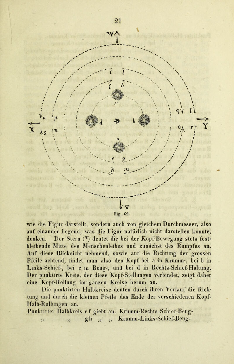 Fig. 62. wie die Figur darstellt, sondern auch von gleichem Durchmesser, also auf einander liegend, was die Figur natürlich nicht darstellen konnte, denken. Der Stern (*) deutet die bei der Kopf-Bewegung stets fest- bleibende Mitte des Menschenleibes und zunächst des Rumpfes an. Auf diese Rücksicht nehmend, sowie auf die Richtung der grossen Pfeile achtend, findet man also den Kopf hei a in Krumm-, bei b in Links-Schief-, bei c in Beug-, und bei d in Rechts-Schief-Haltung. Der punklirte Kreis, der diese Kopf-Stellungen verbindet, zeigt daher eine Kopf-Rollung im ganzen Kreise herum an. Die pnnktirlen Halbkreise deuten durch ihren Verlauf die Rich- tung und durch die kleinen Pfeile das Ende der verschiedenen Kopf- Halb-Rollungen an. Punktirter Halbkreis ef giebt an: Krumm-Rechts-Schief-Beug- „ „ gh „ „ Krumm-Links-Schief-Beug-