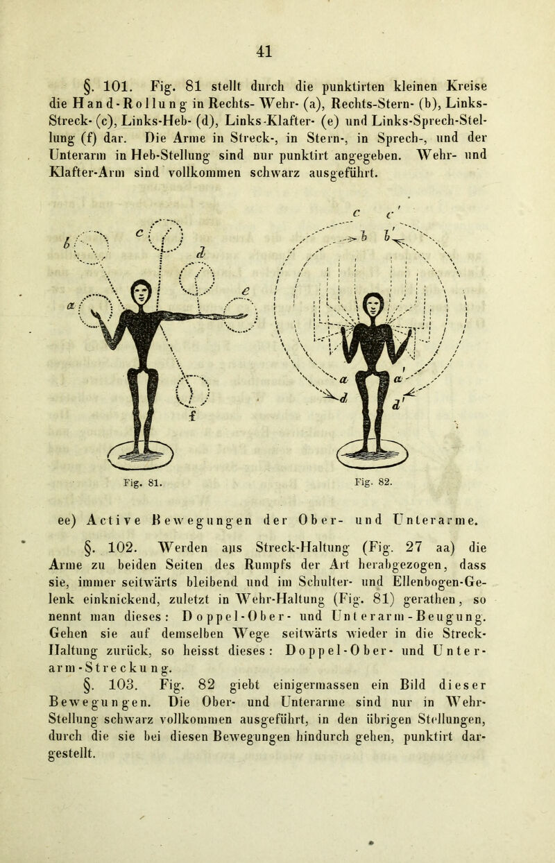§. 101. Fig. 81 stellt durch die punklirten kleinen Kreise die Hand-Rollung in Rechts- Wehr- (a), Rechts-Stern- (b), Links- Streck-(c), Links-Heb- (d), Links-Klafter- (e) und Links-Sprech-Stel- lung (f) dar. Die Anne in Streck-, in Stern-, in Sprech-, und der Unterarm in Heb-Stellung sind nur punktirt angegeben. Wehr- und Klafter-Arm sind vollkommen schwarz ausgeführt. Fig. 81. C C ' Fig. 82. ee) Active Bewegungen der Ober- und Unterarme. §. 102. Werden ajis Streek-Haltung (Fig. 27 aa) die Arme zu beiden Seiten des Rumpfs der Art herabgezogen, dass sie, immer seitwärts bleibend und im Schulter- und Ellenbogen-Ge- lenk einknickend, zuletzt in Wehr-Haltung (Fig. 81) gerathen, so nennt man dieses: Doppel-Ober- und Unt er arm -Beugung. Gehen sie auf demselben Wege seitwärts wieder in die Streck- IIaltung zurück, so heisst dieses: Doppel-Ober- und Unter- arm-Streckung. §. 103. Fig. 82 giebt einigermassen ein Bild dieser Bewegungen. Die Ober- und Unterarme sind nur in Wehr- Stellung schwarz vollkommen ausgeführt, in den übrigen Stellungen, durch die sie bei diesen Bewegungen hindurch gehen, punktirt dar- gestellt.