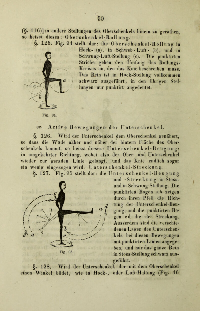 (§• 116)] in andere Stellungen des Oberschenkels hinein zu gerathen, so heisst dieses: Oberschenkel-Rollung. §• 125. Fig. 94 stellt dar: die Oberschenkel-Rollung in Hock- (a), in Schweb - Luft - (b), und in Schwung-Luft Stellung (c). Die punktirten Striche geben den Umfang des Rollungs- Kreises an, den das Knie beschreiben muss. Das Bein ist in Hock-Stellung vollkommen schwarz ausgeführt, in den übrigen Stel- lungen nur punktirt angedeutet. Fig. 94. cc. Active Bewegungen der Unterschenkel. §. 126. Wird der Unterschenkel dem Oberschenkel genähert, so dass die Wade näher und näher der hintern Fläche des Ober- schenkels kommt, so heisst dieses: Untersehen kel-B engung; in umgekehrter Richtung, wobei also der Ober- und Unterschenkel wieder zur geraden Linie gelangt, und das Knie endlich sogar ein wenig eingezogen wird: Unterschenkel-Streckung. §. 127. Fig. 95 stellt dar: die Unterschenkel-Beugung und -Streckung in Sloss- undin Schwung-Stellung. Die punktirten Bogen ab zeigen durch ihren Pfeil die Rich- tung der Unterschenkel-Beu- gung, und die punktirten Bo- gen cd die der Streckung. Ausserdem sind die verschie- denen Lagen des Unterschen- kels bei diesen Bewegungen mit punktirten Linien angege- ben, und nur das ganze Bein in Stoss-Stellung schwarz aus- geführt. §. 128. Wird der Unterschenkel, der mit dem Oberschenkel einen Winkel bildet, wie in Hock-, oder Luft-Haltung (Fig. 46