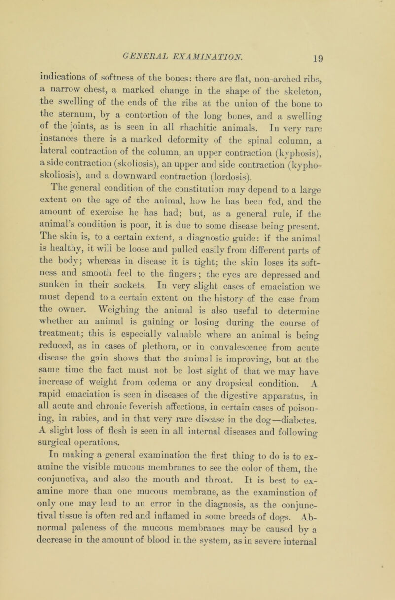 indications of softness of the bones: there are flat, non-arched ribs, a narrow chest, a marked change in the shape of the skeleton, the swelling of the ends of the ribs at the union of the bone to the sternum, by a contortion of the long bones, and a swelling of the joints, as is seen in all rhachitic animals. In very rare instances there is a marked deformity of the spinal column, a lateral contraction of the column, an upper contraction (kyphosis), aside contraction (skoliosis), an upper and side contraction (kypho- skoliosis), and a downward contraction (lordosis). The general condition of the constitution may depend to a large extent on the age of the animal, how he has been fed, and the amount of exercise he has had; but, as a general rule, if the animal s condition is poor, it is due to some disease being present. The skin is, to a certain extent, a diagnostic guide: if the animal is healthy, it wili be loose and pulled easily from different parts of the body; whereas in disease it is tight; the skin loses its soft- ness and smooth feel to the fingers; the eyes are depressed and sunken in their sockets. In very slight cases of emaciation we must depend to a certain extent on the history of the case from the owner. Weighing the animal is also useful to determine whether an animal is gaining or losing during the course of treatment; this is especially valuable where an animal is being reduced, as in cases of plethora, or in convalescence from acute disease the gain shows that the animal is improving, but at the same time the fact must not be lost sight of that we may have increase of weight from oedema or any dropsical condition. A rapid emaciation is seen in diseases of the digestive apparatus, in all acute and chronic feverish affections, iu certain cases of poison- ing, in rabies, and in that very rare disease in the dog—diabetes. A slight loss of flesh is seen in all internal diseases and following surgical operations. In making a general examination the first thing to do is to ex- amine the visible mucous membranes to see the color of them, the conjunctiva, and also the mouth and throat. It is best to ex- amine more than one mucous membrane, as the examination of only one may lead to an error in the diagnosis, as the conjunc- tival tissue is often red and inflamed in some breeds of dogs. Ab- normal paleness of the mucous membranes may be caused by a decrease in the amount of blood in the system, as in severe internal