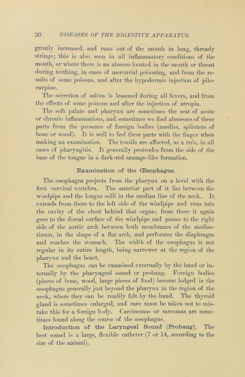 greatly increased, and runs out of the mouth in long, thready strings; this is also seen in all inflammatory conditions of the mouth, or where there is an abscess located in the mouth or throat during teething, in cases of mercurial poisoning, and from the re- sults of some poisons, and after the hypodermic injection of pilo- carpine. The secretion of saliva is lessened during all fevers, and from the effects of some poisons and after the injection of atropia. The soft palate and pharynx are sometimes the seat of acute or chronic inflammations, and sometimes we find abscesses of these parts from the presence of foreign bodies (needles, splinters of bone or wood). It is well to feel these parts with the finger when making an examination. The tonsils are affected, as a rifle, in all cases of pharyngitis. It generally protrudes from the side of the base of the tongue in a dark-red sausage-like formation. Examination of the (Esophagus. The oesophagus projects from the pharynx on a level with the first cervical vertebra. The anterior part of it lies between the windpipe and the longus colli in the median line of the neck. It extends from there to the left side of the windpipe aud runs into the cavity of the chest behind that organ; from there it again goes to the dorsal surface of the windpipe and passes to the right side of the aortic arch between both membranes of the medias- tinum, in the shape of a flat arch, and perforates the diaphragm and reaches the stomach. The width of the oesophagus is not regular in its entire length, being narrower at the region of the pharynx and the heart. The oesophagus can be examined externally by the hand or in- ternally by the pharyngeal sound or probang. Foreign bodies (pieces of bone, wood, large pieces of food) become lodged in the oesophagus generally just beyond the pharynx in the region of the neck, where they can be readily felt by the hand. The thyroid gland is sometimes enlarged, and care must be taken not to mis- take this for a foreign bodv. Carcinomas or sarcomas are some- times found along the course of the oesophagus. Introduction of the Laryngeal Sound (Probang). The best sound is a large, flexible catheter (7 or 14, according to the size of the animal).