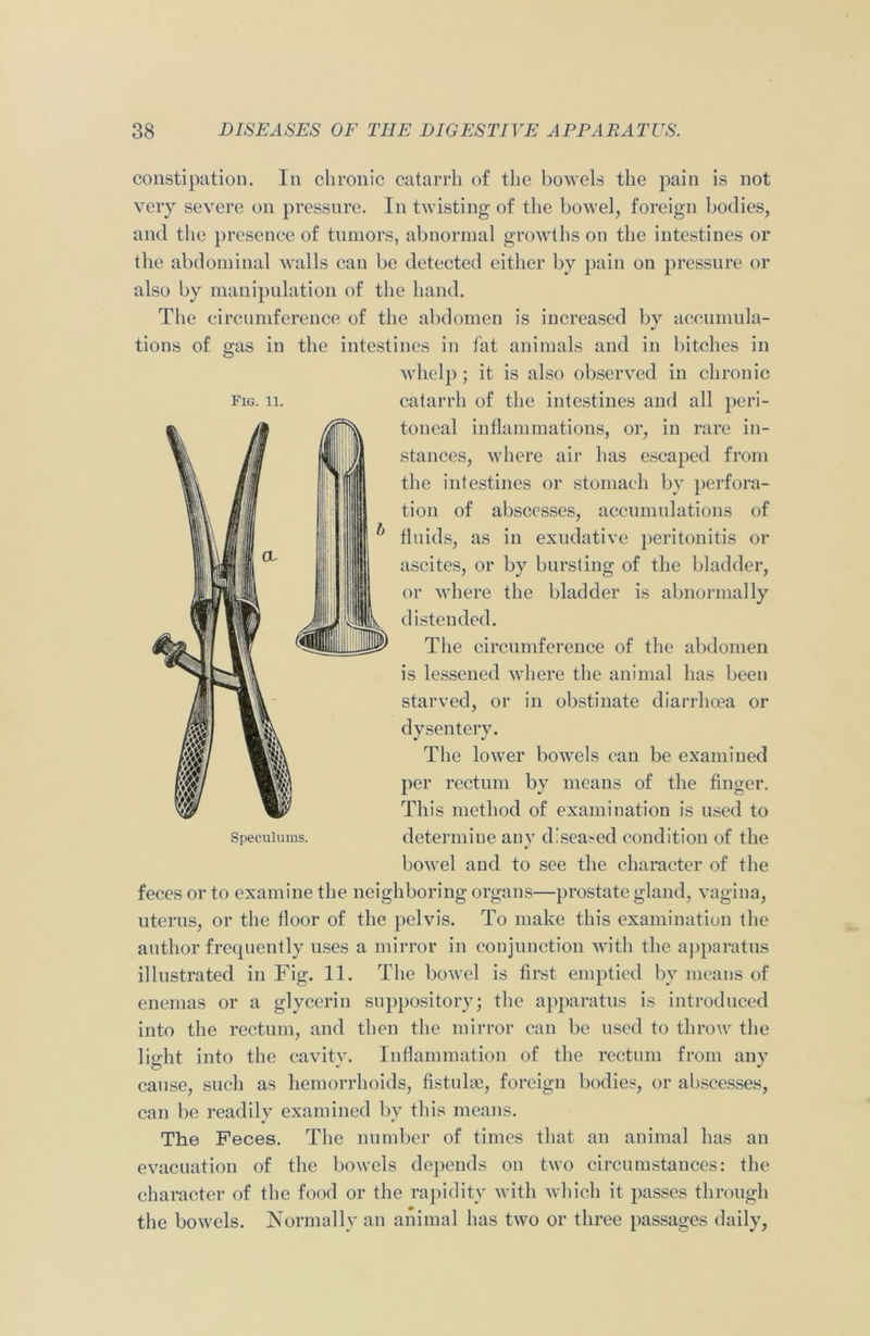 constipation. In chronic catarrh of the bowels the pain is not very severe on pressure. In twisting of the bowel, foreign bodies, and the presence of tumors, abnormal growths on the intestines or the abdominal walls can be detected either by pain on pressure or also by manipulation of the hand. The circumference of the abdomen is increased by accumula- tions of gas in the intestines in fat animals and in bitches in whelp; it is also observed in chronic catarrh of the intestines and all peri- toneal inflammations, or, in rare in- stances, where air has escaped from the intestines or stomach by perfora- tion of abscesses, accumulations of fluids, as in exudative peritonitis or ascites, or by bursting of the bladder, or where the bladder is abnormally distended. The circumference of the abdomen is lessened where the animal has been starved, or in obstinate diarrhoea or dysentery. The lower bowels can be examined per rectum by means of the finger. This method of examination is used to determine any diseased condition of the bowel and to see the character of the feces or to examine the neighboring organs—prostate gland, vagina, uterus, or the floor of the pelvis. To make this examination the author frequently uses a mirror in conjunction with the apparatus illustrated in Fig. 11. The bowel is first emptied bv means of enemas or a glycerin suppository; the apparatus is introduced into the rectum, and then the mirror can be used to throw the light into the cavity. Inflammation of the rectum from any cause, such as hemorrhoids, fistulse, foreign bodies, or abscesses, can be readily examined by this means. The Feces. The number of times that an animal has an evacuation of the bowels depends on two circumstances: the character of the food or the rapidity with which it passes through the bowels. Normally an animal has two or three passages daily, Fig. 11. Speculums.