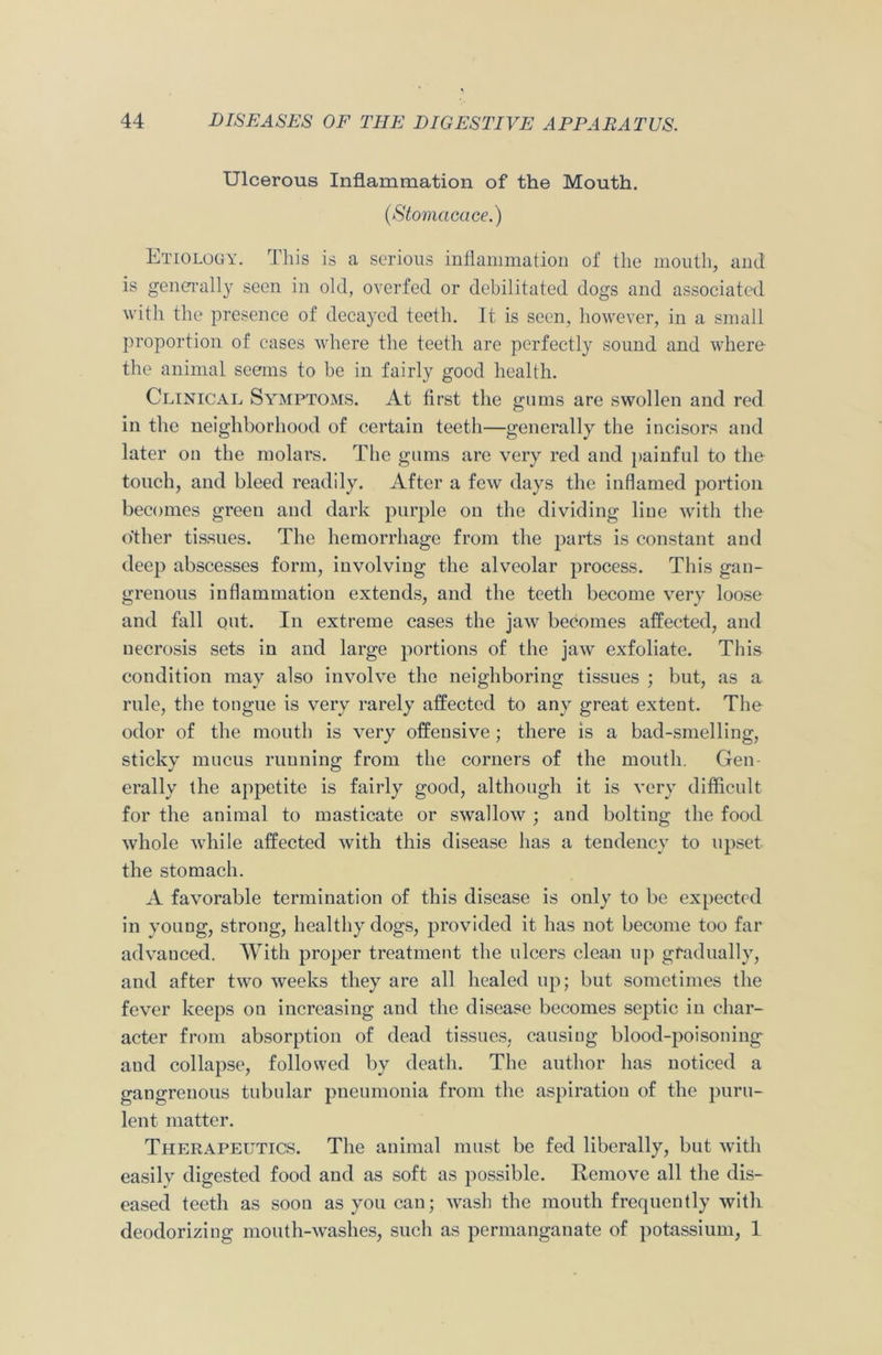 Ulcerous Inflammation of the Mouth. (Stomcicace.) Etiology. This is a serious inflammation of the mouth, and is generally seen in old, overfed or debilitated dogs and associated with the presence of decayed teeth. It is seen, however, in a small proportion of cases where the teeth are perfectly sound and where the animal seems to be in fairly good health. Clinical Symptoms. At first the gums are swollen and red in the neighborhood of certain teeth—generally the incisors and later on the molars. The gums are very red and painful to the touch, and bleed readily. After a few days the inflamed portion becomes green and dark purple on the dividing line with the other tissues. The hemorrhage from the parts is constant and deep abscesses form, involving the alveolar process. This gan- grenous inflammation extends, and the teeth become very loose and fall out. In extreme cases the jaw becomes affected, and necrosis sets in and large portions of the jaw exfoliate. This condition may also involve the neighboring tissues ; but, as a rule, the tongue is very rarely affected to any great extent. The odor of the mouth is very offensive; there is a bad-smelling, sticky mucus running from the corners of the mouth. Gen- erally the appetite is fairly good, although it is very difficult for the animal to masticate or swallow ; and bolting the food whole while affected with this disease has a tendency to upset the stomach. A favorable termination of this disease is only to be expected in voung, strong, healthy dogs, provided it has not become too far advauced. With proper treatment the ulcers clean up gradually, and after two weeks they are all healed up; but sometimes the fever keeps on increasing and the disease becomes septic in char- acter from absorption of dead tissues, causing blood-poisoning aud collapse, followed by death. The author has noticed a gangrenous tubular pneumonia from the aspiration of the puru- lent matter. Therapeutics. The animal must be fed liberally, but with easily digested food and as soft as possible. Remove all the dis- eased teeth as soon as you can; wash the mouth frequently with deodorizing mouth-washes, such as permanganate of potassium, 1