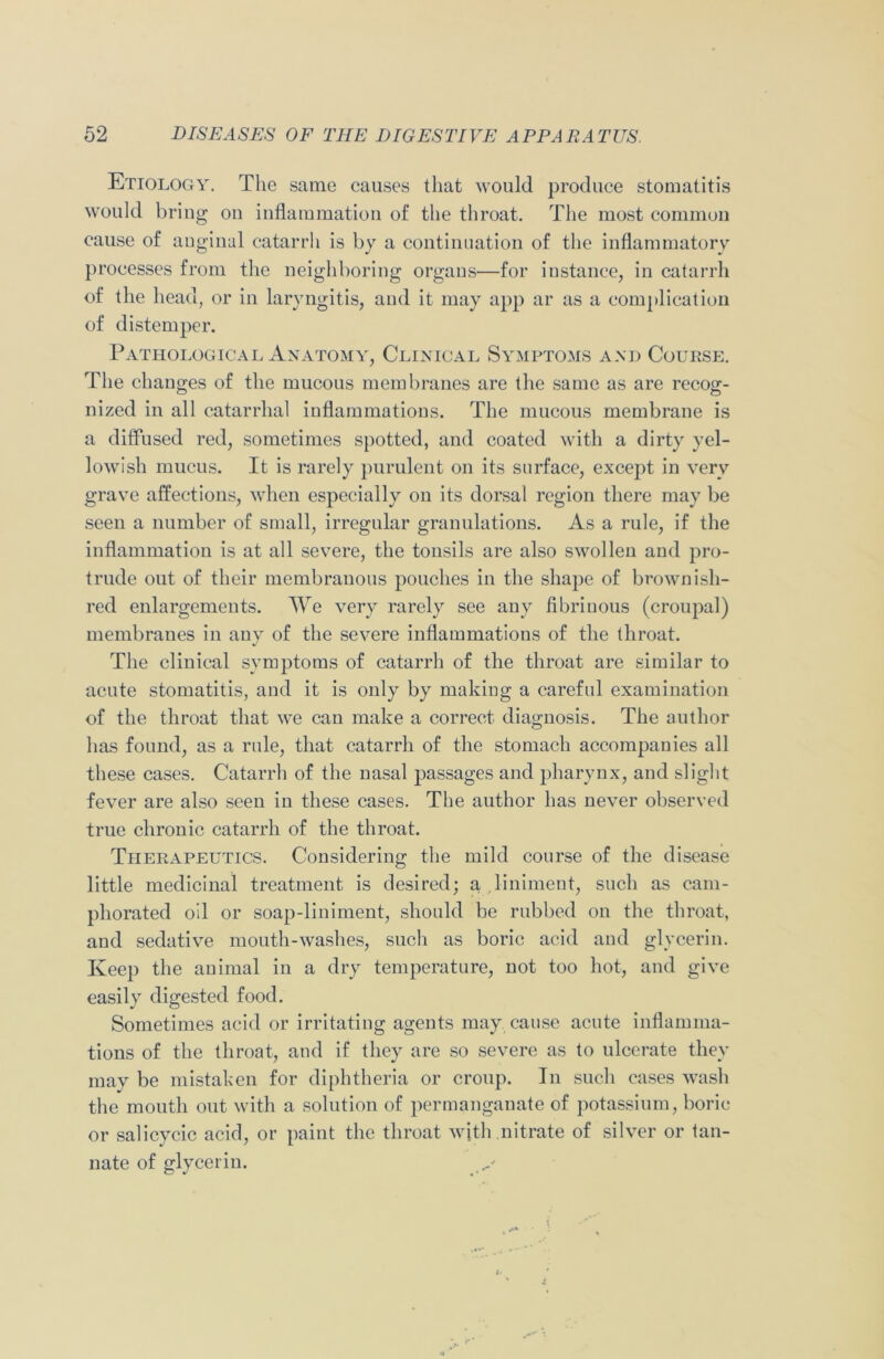 Etiology. The same causes that would produce stomatitis would bring on inflammation of the throat. The most common cause of anginal catarrh is by a continuation of the inflammatory processes from the neighboring organs—for instance, in catarrh of the head, or in laryngitis, and it may app ar as a complication of distemper. Pathological Anatomy, Clinical Symptoms and Course. The changes of the mucous membranes are the same as are recog- nized in all catarrhal inflammations. The mucous membrane is a diffused red, sometimes spotted, and coated with a dirty yel- lowish mucus. It is rarely purulent on its surface, except in very grave affections, when especially on its dorsal region there may be seen a number of small, irregular granulations. As a rule, if the inflammation is at all severe, the tonsils are also swollen and pro- trude out of their membranous pouches in the shape of brownish- red enlargements. We very rarely see any fibrinous (croupal) membranes in any of the severe inflammations of the throat. The clinical symptoms of catarrh of the throat are similar to acute stomatitis, and it is only by making a careful examination of the throat that we can make a correct diagnosis. The author has found, as a rule, that catarrh of the stomach accompanies all these cases. Catarrh of the nasal passages and pharynx, and slight fever are also seen in these cases. The author has never observed true chronic catarrh of the throat. Therapeutics. Considering the mild course of the disease little medicinal treatment is desired; a liniment, such as cam- phorated oil or soap-liniment, should be rubbed on the throat, and sedative mouth-washes, such as boric acid and glycerin. Keep the animal in a dry temperature, not too hot, and give easily digested food. Sometimes acid or irritating agents may cause acute inflamma- tions of the throat, and if they are so severe as to ulcerate they may be mistaken for diphtheria or croup. In such cases wash the mouth out with a solution of permanganate of potassium, boric or salicycic acid, or paint the throat with nitrate of silver or tan- nate of glycerin.