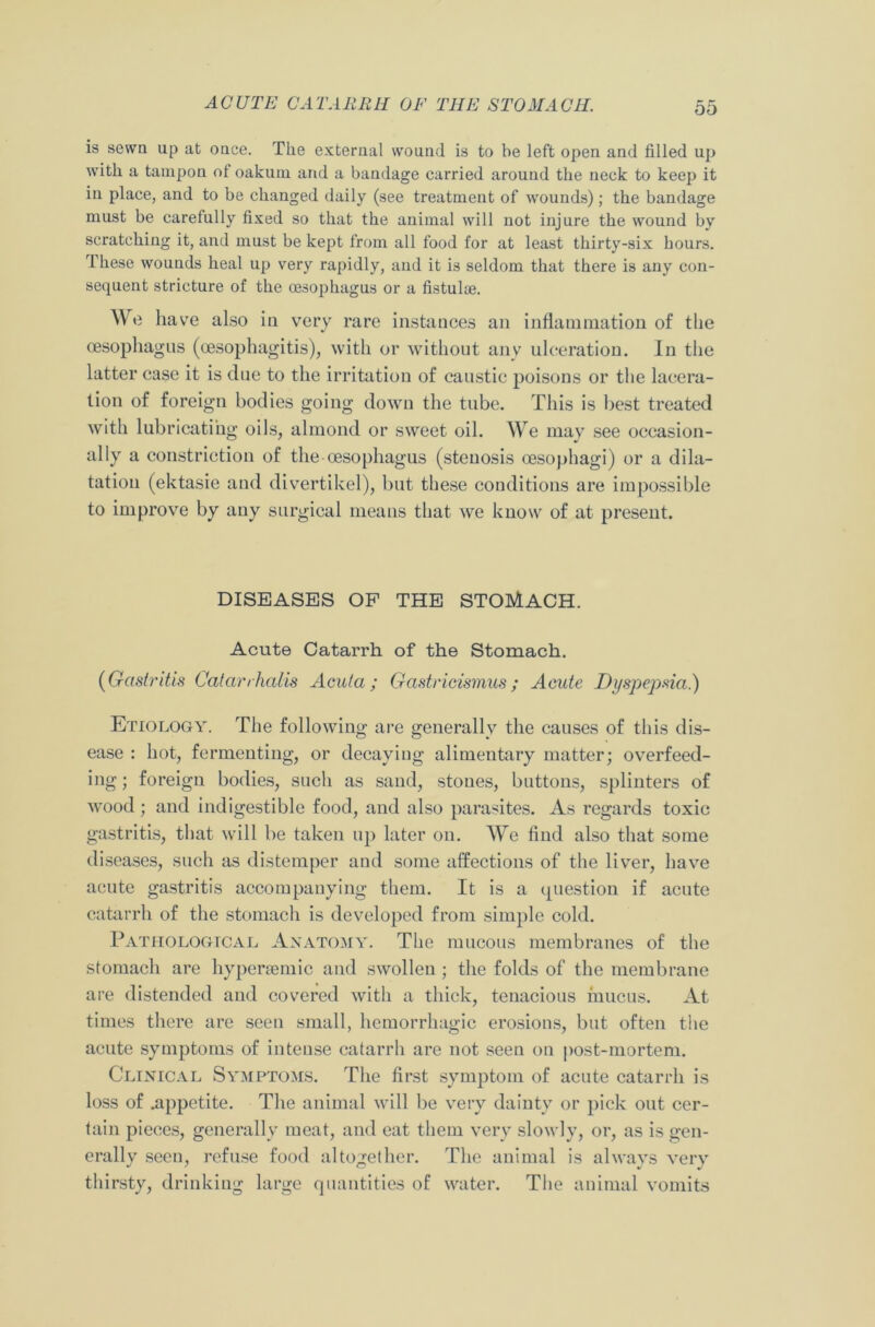 is sewn up at once. The external wound is to be left open and filled up with a tampon ot oakum and a bandage carried around the neck to keep it in place, and to be changed daily (see treatment of wounds); the bandage must be carefully fixed so that the animal will not injure the wound by scratching it, and must be kept from all food for at least thirty-six hours. These wounds heal up very rapidly, and it is seldom that there is any con- sequent stricture of the oesophagus or a fistula?. We have also in very rare instances an inflammation of the oesophagus (oesophagitis), with or without anv ulceration. In the latter case it is due to the irritation of caustic poisons or the lacera- tion of foreign bodies going down the tube. This is best treated with lubricating oils, almond or sweet oil. We may see occasion- ally a constriction of the oesophagus (stenosis oesophagi) or a dila- tation (ektasie and divertikel), but these conditions are impossible to improve by any surgical means that we know of at present. DISEASES OF THE STOMACH. Acute Catarrh of the Stomach. (Gastritis Catarrhalis Acuta; Gastricismus ; Acute Dyspepsia.) Etiology. The following are generally the causes of this dis- ease : hot, fermenting, or decaying alimentary matter; overfeed- ing ; foreign bodies, such as sand, stones, buttons, splinters of wood ; and indigestible food, and also parasites. As regards toxic gastritis, that will be taken up later on. We find also that some diseases, such as distemper and some affections of the liver, have acute gastritis accompanying them. It is a question if acute catarrh of the stomach is developed from simple cold. Pathological Anatomy. The mucous membranes of the stomach are hyperaemic and swollen; the folds of the membrane are distended and covered with a thick, tenacious mucus. At times there are seen small, hemorrhagic erosions, but often the acute symptoms of intense catarrh are not seen on post-mortem. Clinical Symptoms. The first symptom of acute catarrh is loss of .appetite. The animal will be very dainty or pick out cer- tain pieces, generally meat, and eat them very slowly, or, as is gen- erally seen, refuse food altogether. The animal is always very thirsty, drinking large quantities of water. The animal vomits