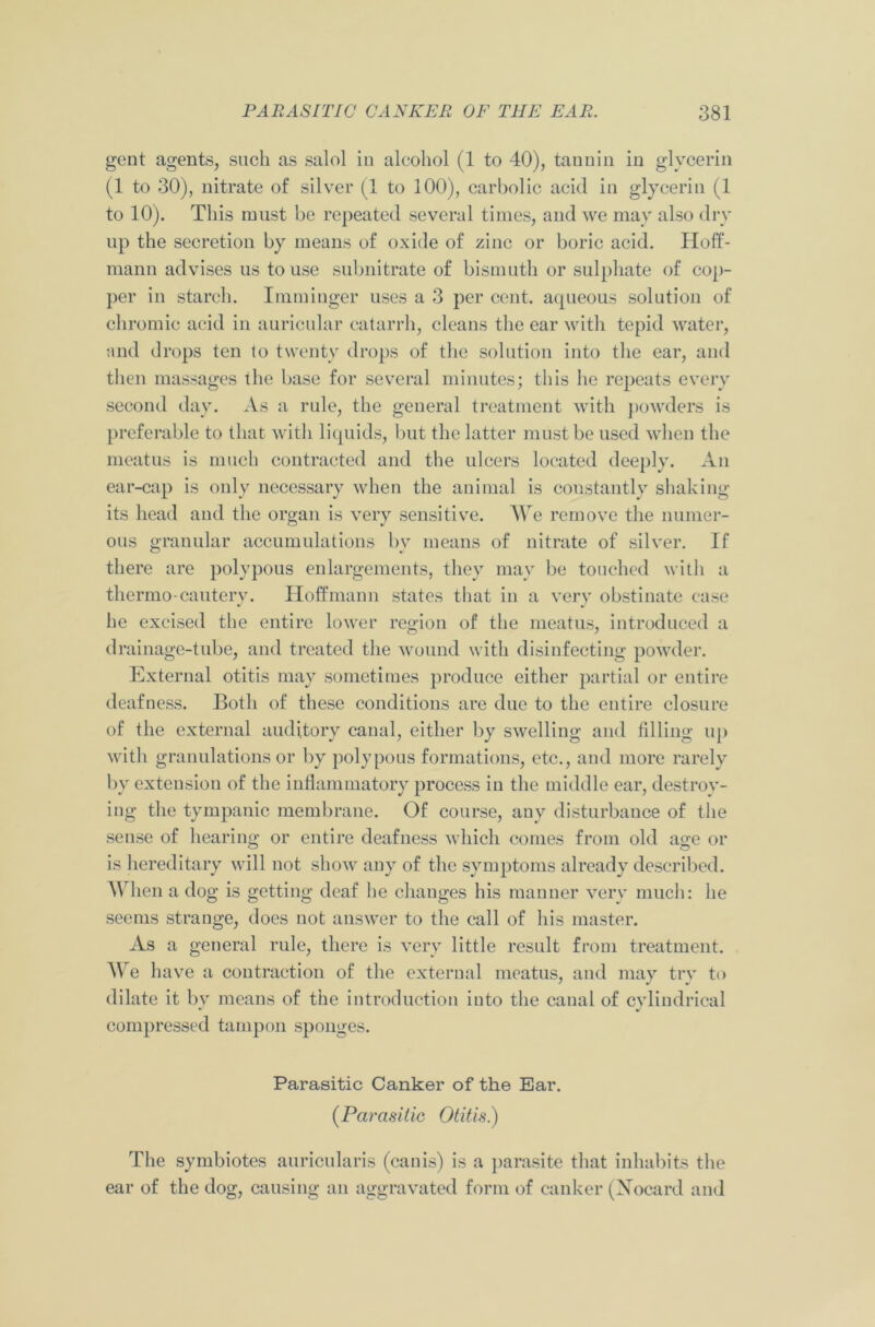 gent agents, such as salol in alcohol (1 to 40), tannin in glycerin (1 to 30), nitrate of silver (1 to 100), carbolic acid in glycerin (1 to 10). This must be repeated several times, and we may also dry up the secretion by means of oxide of zinc or boric acid. Hoff- mann advises us to use subnitrate of bismuth or sulphate of cop- per in starch. Imminger uses a 3 per cent, aqueous solution of chromic acid in auricular catarrh, cleans the ear with tepid water, and drops ten to twenty drops of the solution into the ear, and then massages the base for several minutes; this he repeats every second day. As a rule, the general treatment with powders is preferable to that with liquids, but the latter must be used when the meatus is much contracted and the ulcers located deeply. An ear-cap is only necessary when the animal is constantly shaking its head and the organ is very sensitive. We remove the numer- ous granular accumulations by means of nitrate of silver. If there are polypous enlargements, they may be touched with a thermo-cautery. Hoffmann states that in a very obstinate case he excised the entire lower region of the meatus, introduced a drainage-tube, and treated the wound with disinfecting powder. External otitis may sometimes produce either partial or entire deafness. Both of these conditions are due to the entire closure of the external auditory canal, either by swelling and filling up with granulations or by polypous formations, etc., and more rarely by extension of the inflammatory process in the middle ear, destroy- ing the tympanic membrane. Of course, any disturbance of the sense of hearing or entire deafness which comes from old age or is hereditary will not show any of the symptoms already described. W1 len a dog is getting deaf he changes his manner very much: he seems strange, does not answer to the call of his master. As a general rule, there is very little result from treatment. We have a contraction of the external meatus, and may try to dilate it by means of the introduction into the canal of cylindrical * •> compressed tampon sponges. Parasitic Canker of the Ear. (Parasitic Otitis.) The symbiotes auricularis (canis) is a parasite that inhabits the ear of the dog, causing an aggravated form of canker (Nocard and