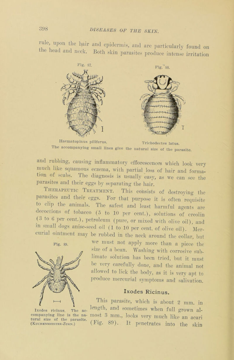 rule upon the hair and epidermis, and are particularly found on 16 hea<1 and neck* Botk skin parasites produce intense irritation Fig. S7. Fig. S8. Haematopinus piliferus. Trichodectes latus. Tlie accompanying small lines give the natural size of the parasite. and rubbing, causing inflammatory efflorescences which look very much like squamous eczema, with partial loss of hair and forma- tion of scabs. The diagnosis is usually easy, as we can see the parasites and their eggs by separating the hair. Therapeutic Treatment. This consists of destroying the parasites and their eggs. For that purpose it is often requisite to clip the animals. The safest and least harmful agents are decoctions of tobacco (5 to 10 per cent.), solutions of creolin (■> to 6 per cent.), petroleum (pure, or mixed with olive oil), and m small dogs anise-seed oil (1 to 10 per cent, of olive oil). Mer- curial ointment may be rubbed in the neck around the collar, but Fig. 89. ^e rniLS^ n°i’ apply more than a piece the Hze of a bean. It ashing with corrosive sub- limate solution has been tried, but it must be \ery carefully done, and the animal not allowed to lick the body, as it is very apt to produce mercurial symptoms and salivation. Ixodes Ricinus. This parasite, which is about 2 mm. in length, and sometimes when full grown al- companying line is the na- most 3 mm., looks very much like an neari tural size of the parasite. ) J1Ke dU acarl (Kuchenmeister-Zurn.) (If?- b.)). It penetrates into the skin