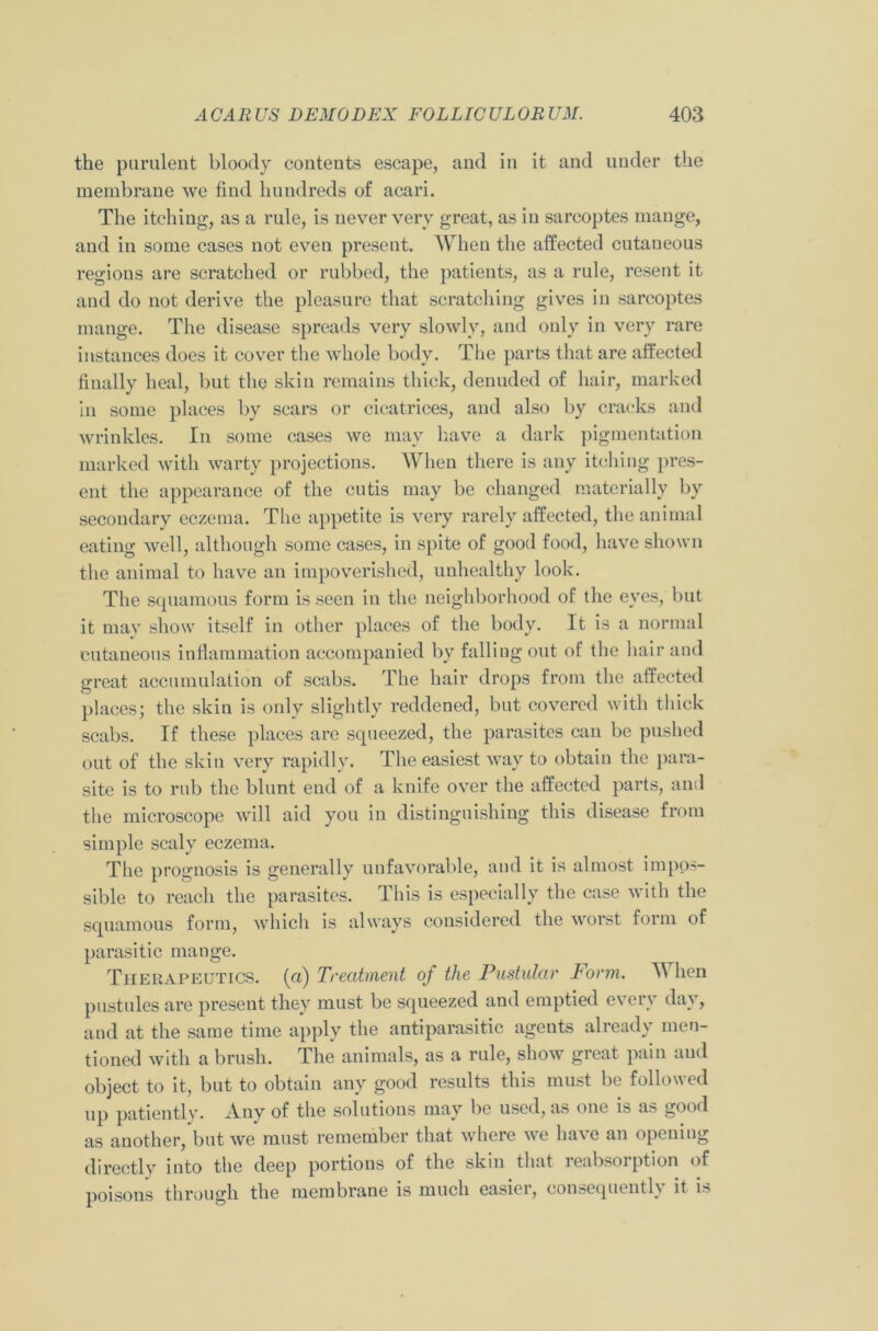 the purulent bloody contents escape, and in it and under the membrane we find hundreds of acari. The itching, as a rule, is never very great, as in sarcoptes mange, and in some cases not even present. When the affected cutaueous regions are scratched or rubbed, the patients, as a rule, resent it and do not derive the pleasure that scratching gives in sarcoptes mange. The disease spreads very slowly, and only in very rare instances does it cover the whole body. The parts that are affected finally heal, but the skin remains thick, denuded of hair, marked in some places by scars or cicatrices, and also by cracks and wrinkles. In some cases we may have a dark pigmentation marked with warty projections. When there is any itching pres- ent the appearance of the cutis may be changed materially by secondary eczema. The appetite is very rarely affected, the animal eating well, although some cases, in spite of good food, have shown the animal to have an impoverished, unhealthy look. The squamous form is seen in the neighborhood of the eyes, but it may show itself in other places of the body. It is a normal cutaneous inflammation accompanied by falling out of the hair and great accumulation of scabs. The hair drops from the affected places; the skin is only slightly reddened, but covered with thick scabs. If these places are squeezed, the parasites can be pushed out of the skin very rapidly. The easiest way to obtain the para- site is to rub the blunt end of a knife over the affected parts, and the microscope will aid you in distinguishing this disease from simple scaly eczema. The prognosis is generally unfavorable, and it is almost impos- sible to reach the parasites. This is especially the case with the squamous form, which is always considered the worst form of parasitic maoge. Therapeutics, (a) Treatment of the Pustular Form. When pustules are present they must be squeezed and emptied every dav, and at the same time apply the antiparasitic agents already men- tioned with a brush. The animals, as a rule, show great pain and object to it, but to obtain any good results this must be followed up patiently. A_ny of the solutions may be used, as one is as good as another, but we must remember that where we ha\e an opening directly into the deep portions of the skin that reabsoiption of poisons through the membrane is much easier, consequently it is