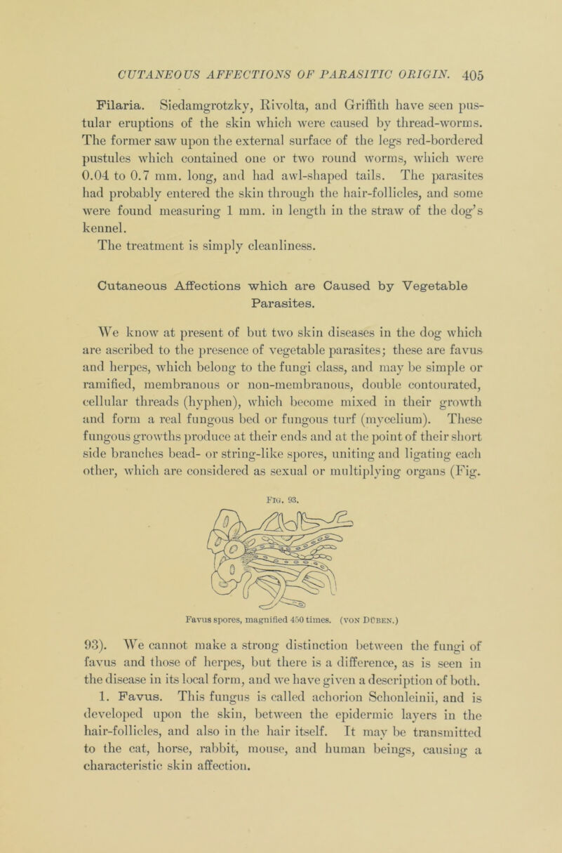 Filaria. Siedamgrotzky, Rivolta, and Griffith have seen pus- tular eruptions of the skin which were caused by thread-worms. The former saw upon the external surface of the legs red-bordered pustules which contained one or two round worms, which were 0.04 to 0.7 mm. long, and had awl-shaped tails. The parasites had probably entered the skin through the hair-follicles, and some were found measuring 1 mm. in length in the straw of the dog’s kennel. The treatment is simply cleanliness. Cutaneous Affections which are Caused by Vegetable Parasites. We know at present of but two skin diseases in the dog which are ascribed to the presence of vegetable parasites; these are favus and herpes, which belong to the fungi class, and may be simple or ramified, membranous or nou-membranous, double contourated, cellular threads (hyphen), which become mixed in their growth and form a real fungous bed or fungous turf (mycelium). These fungous growths produce at their ends and at the point of their short side branches bead- or string-like spores, uniting and ligating each other, which are considered as sexual or multiplying organs (Fig. Fig. 93. Favus spores, magnified 450 times, (von DOben.) 93). We cannot make a strong distinction between the fungi of favus and those of herpes, but there is a difference, as is seen in the disease in its local form, and we have given a description of both. 1. Favus. This fungus is called achorion Schonleinii, and is developed upon the skin, between the epidermic layers in the hair-follicles, and also in the hair itself. It may be transmitted to the cat, horse, rabbit, mouse, and human beings, causing a characteristic skin affection.