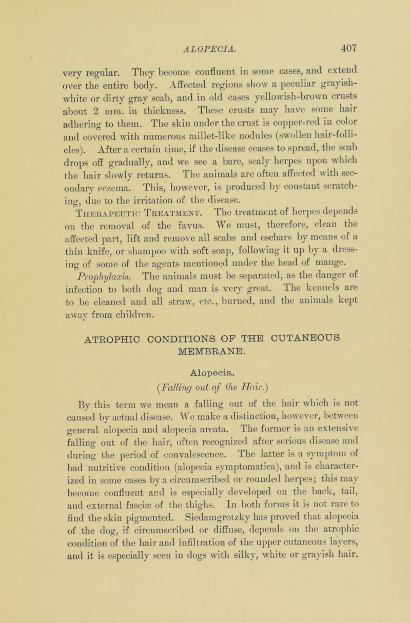 very regular. They become confluent in some cases, and extend over the entire body. Affected regions show a peculiar grayish- white or dirty gray scab, and in old cases yellowish-brown crusts about 2 mm. in thickness. These crusts may have some hair adhering to them. The skin under the crust is copper-red in color and covered with numerous millet-like nodules (swollen hair-folli- cles). After a certain time, if the disease ceases to spread, the scab drops off gradually, and we see a bare, scaly herpes upon which the hair slowly returns. The animals are often affected with sec- ondary eczema. This, however, is produced by constant scratch- ing, due to the irritation of the disease. Therapeutic Treatment. The treatment of herpes depends on the removal of the favus. We must, therefore, clean the affected part, lift and remove all scabs and eschars by means of a thin knife, or shampoo with soft soap, following it up by a dress- ing of some of the agents mentioned under the head of mange. Prophylaxis. The animals must be separated, as the danger of infection to both dog and man is very great. The kennels are to be cleaned and all straw, etc., burned, and the animals kept away from children. ATROPHIC CONDITIONS OP THE CUTANEOUS MEMBRANE. Alopecia. (Falling out of the Hair.) By this term we mean a falling out of the hair which is not caused by actual disease. We make a distinction, however, between general alopecia and alopecia areata. The former is an extensive falling out of the hair, often recognized after serious disease and during the period of convalescence. The latter is a symptom of bad nutritive condition (alopecia symptomatica), and is character- ized in some cases by a circumscribed or rounded herpes; this may become confluent and is especially developed on the back, tail, and external fascue of the thighs. In both forms it is not rare to find the skin pigmented. Siedamgrotzky has proved that alopecia of the dog, if circumscribed or diffuse, depends on the atrophic condition of the hair and infiltration of the upper cutaneous layers, and it is especially seen in dogs with silky, white or grayish hair.